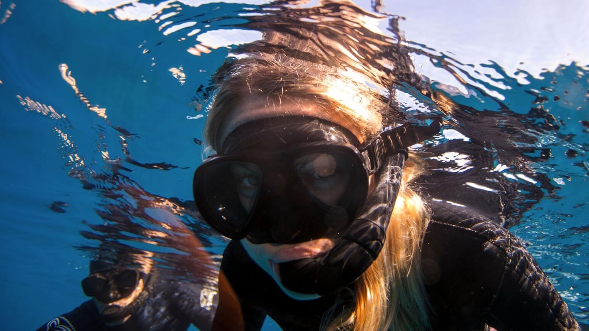 Guided Snorkeling Adventure in Tarifa's Marine Reserve
