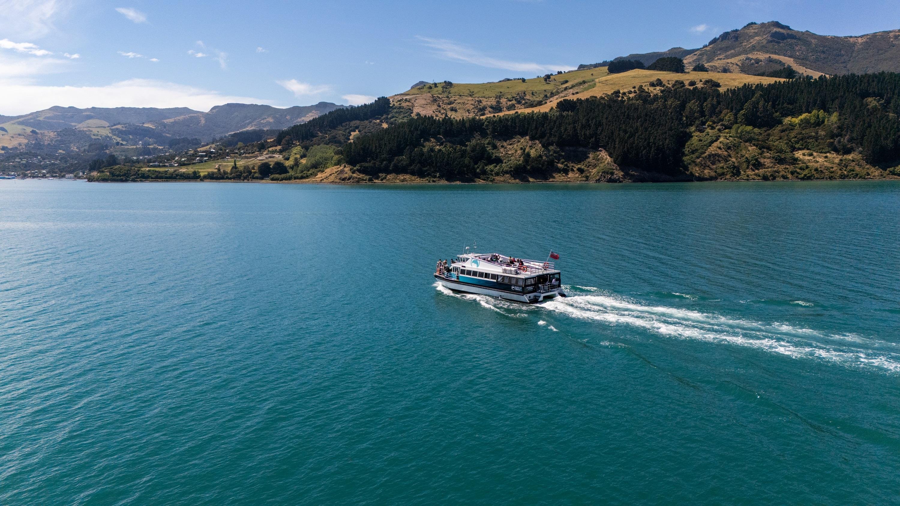 Akaroa Harbour 2-Hour Dolphin Nature Cruise