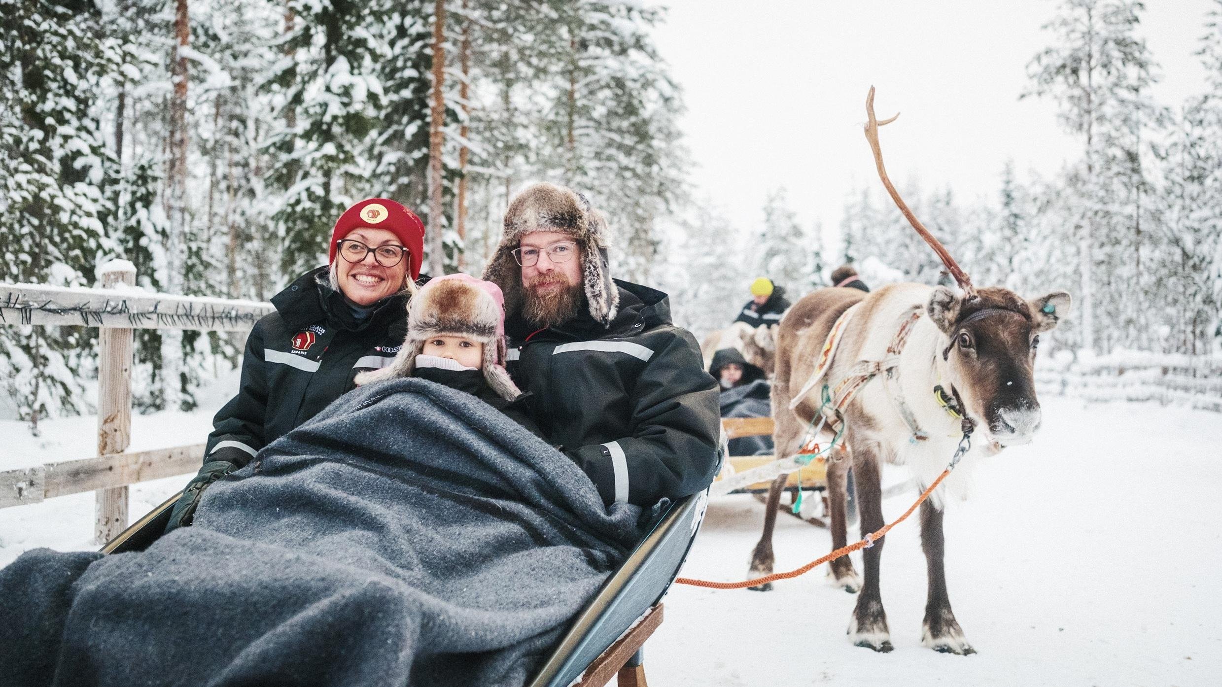 Rovaniemi Reindeer Sled Ride Through Snowy Lapland Forest