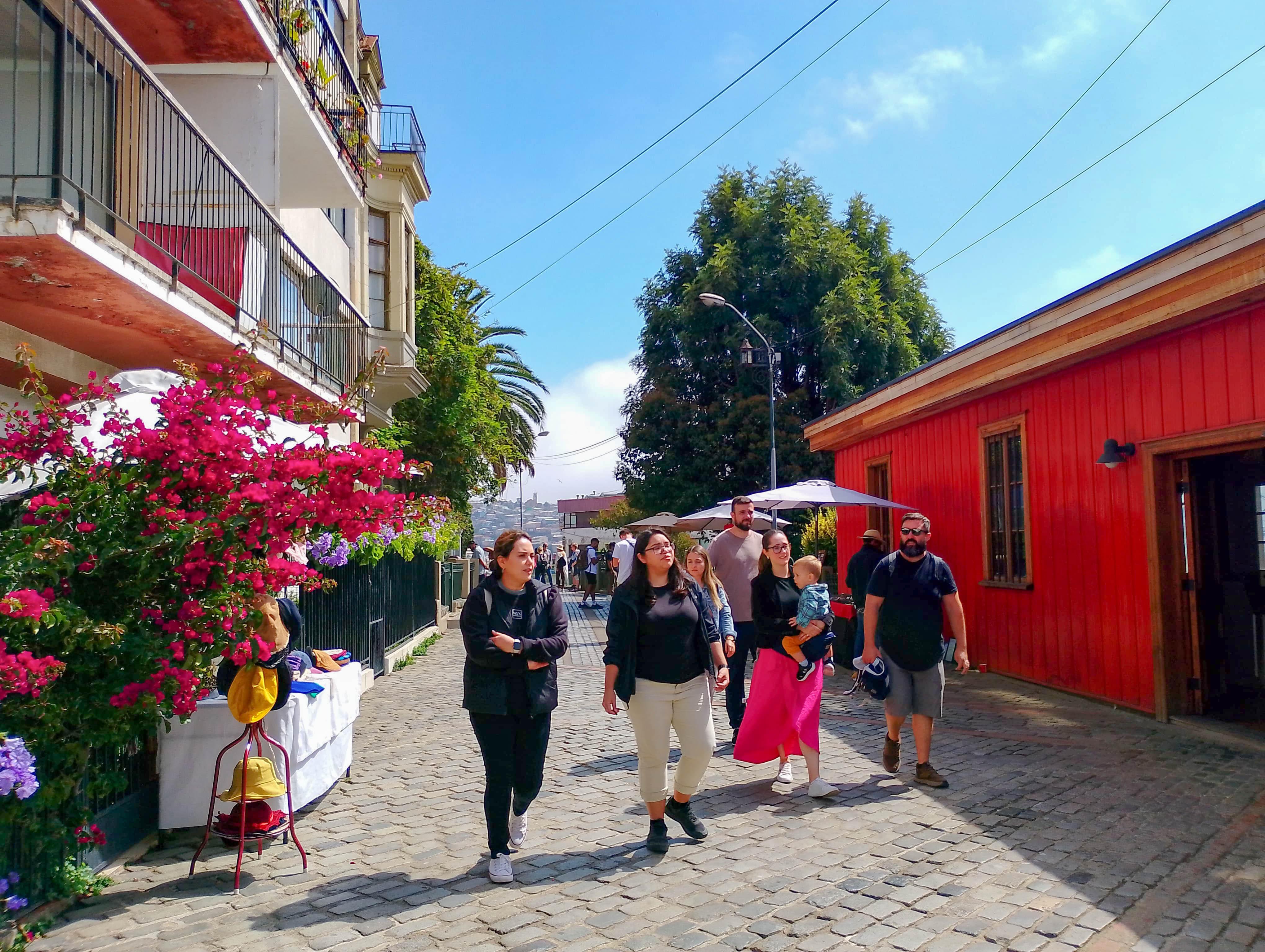Valparaíso wine tour, the Casablanca Valley and Valparaíso's hills — image 29