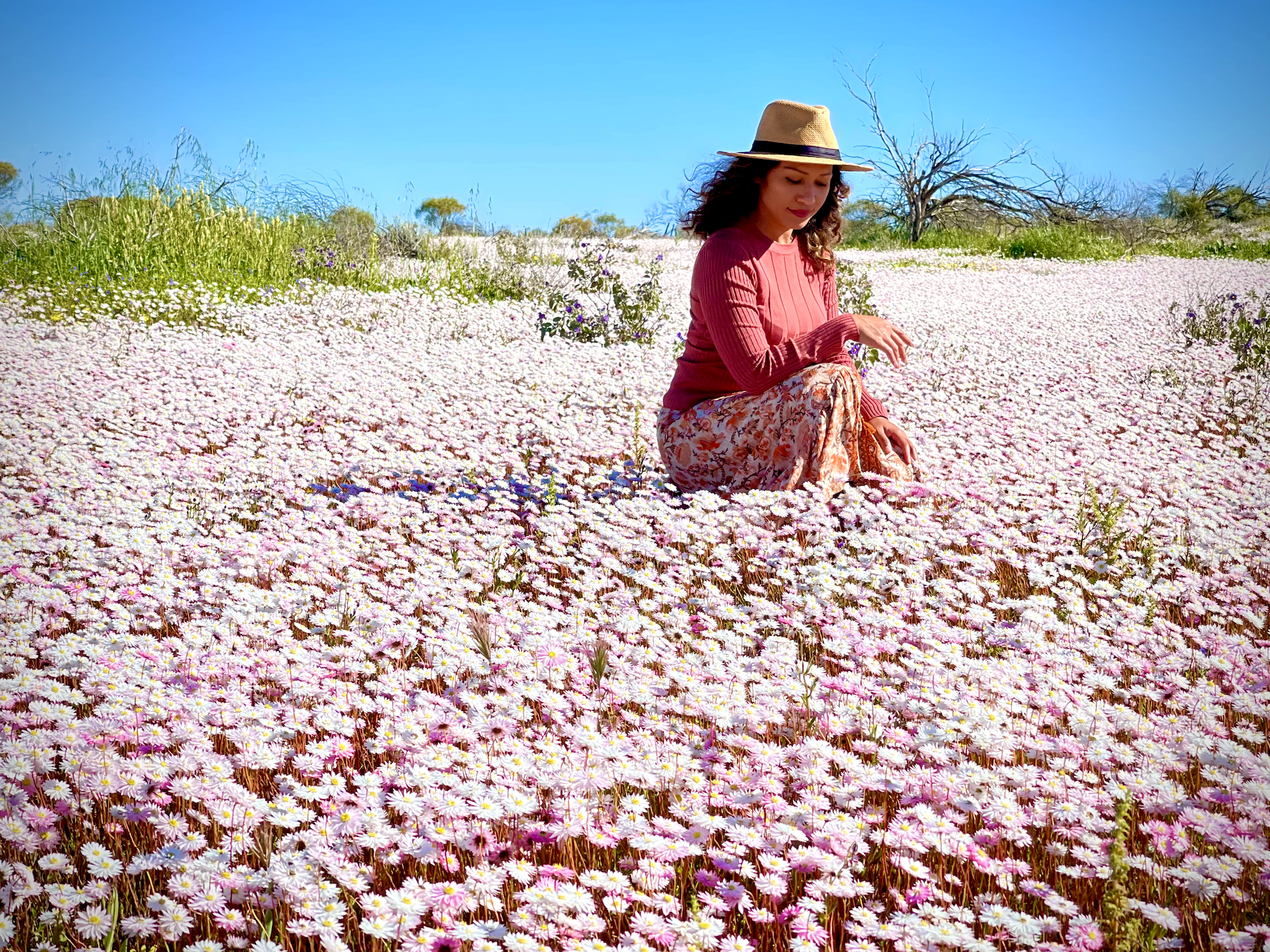Kalbarri Wildflower Discovery with Local Expert