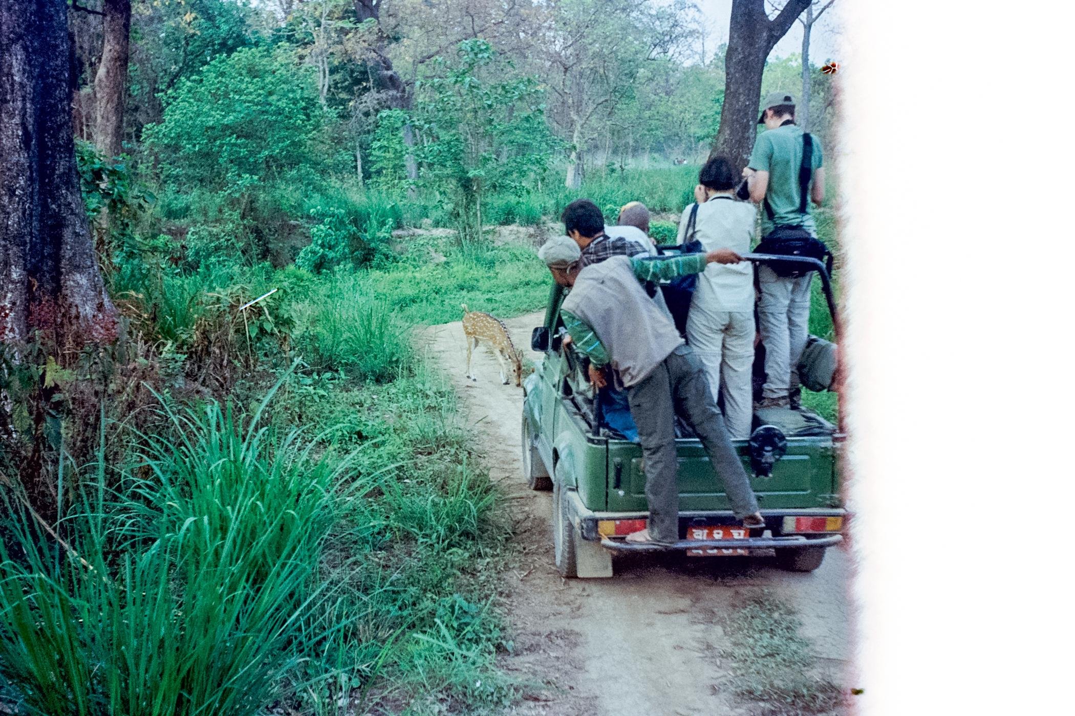 3-Day All-Inclusive Chitwan National Park Safari