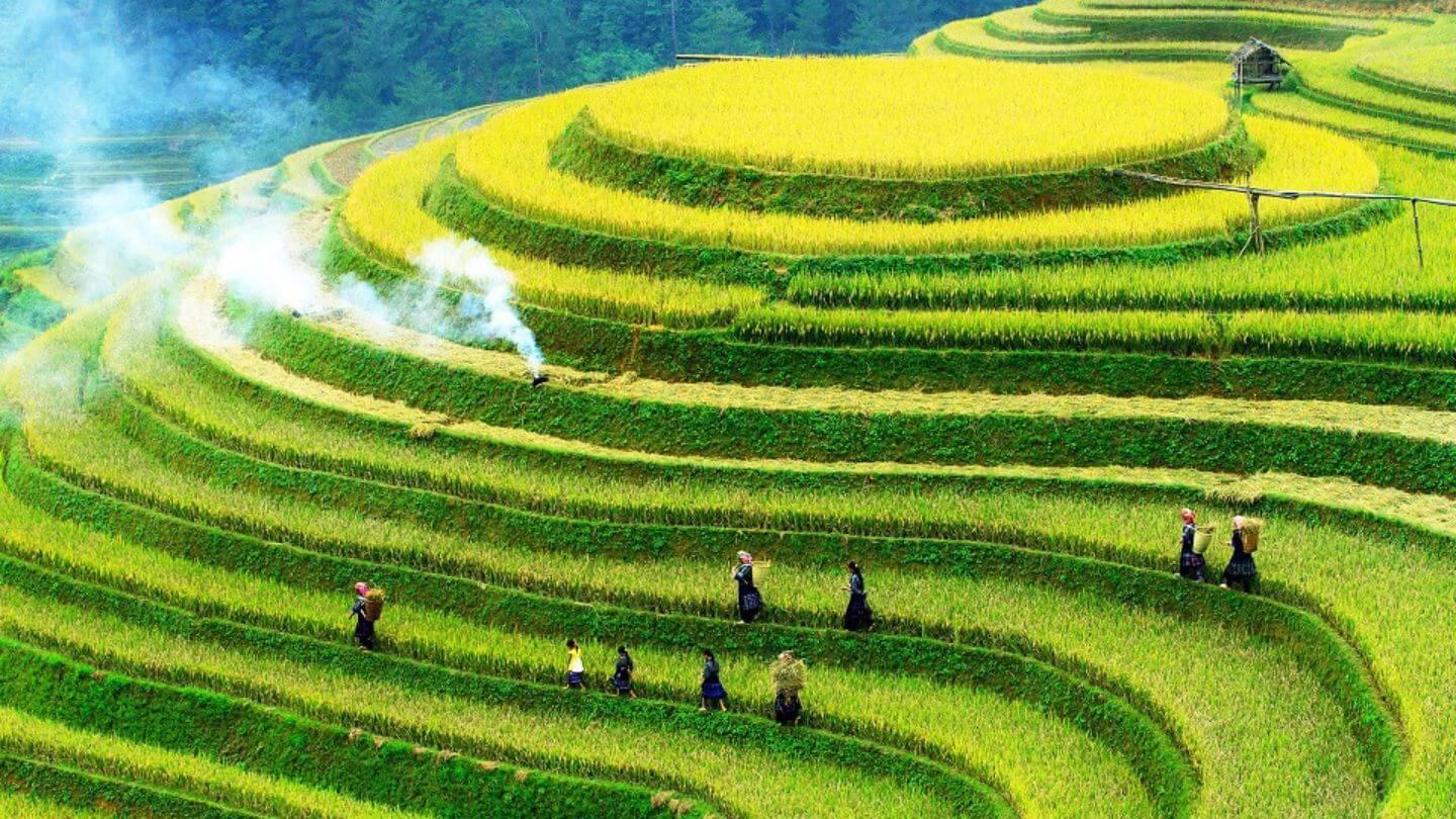 Sapa Valley Trek with Craft Workshops & Alpine Coaster