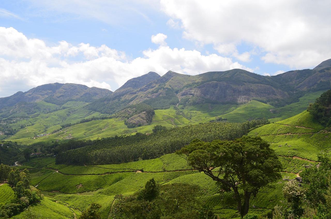 5-Day Private Kerala Highlights: Munnar, Thekkady & Alleppey