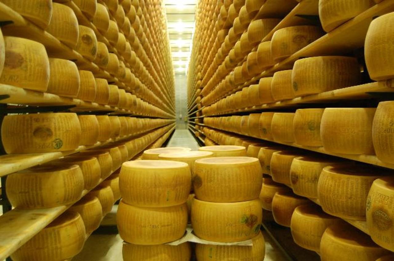Parmesan factory tour — Parmigiano Reggiano dairy and ageing wheels — image 1