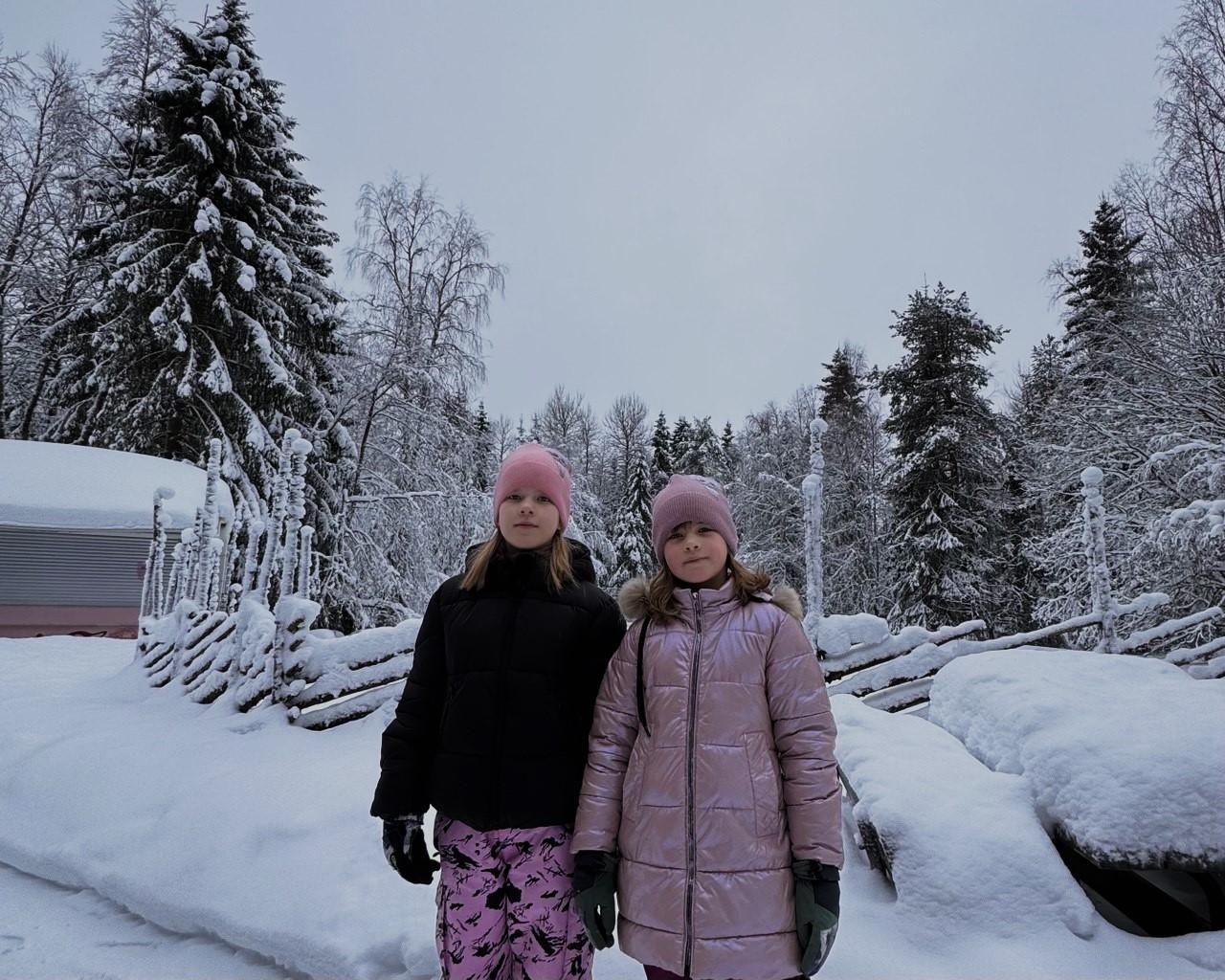 Ranua Wildlife Park Day Trip from Rovaniemi