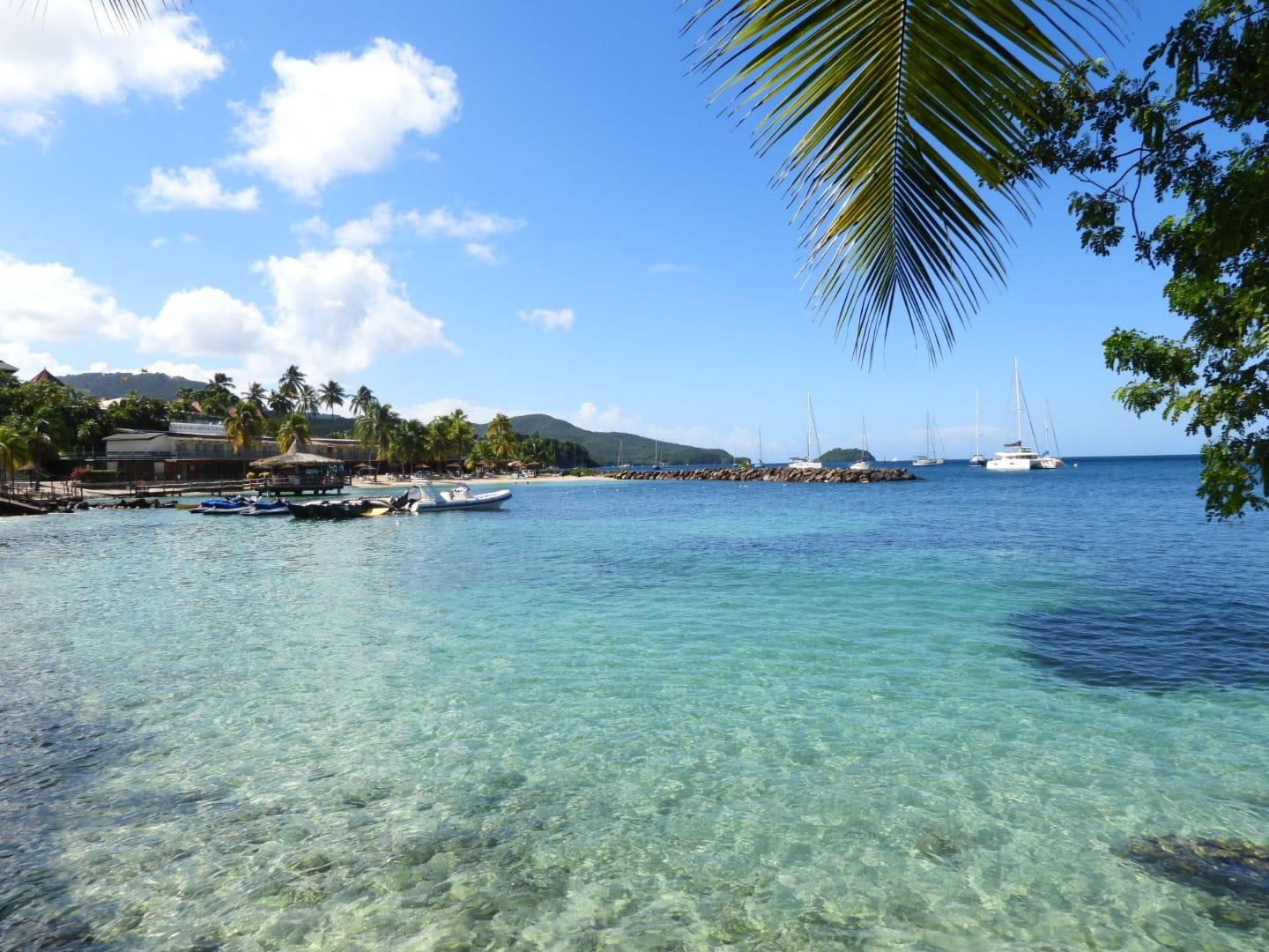 Caribbean Coast & Turtle Encounter with Aperitif