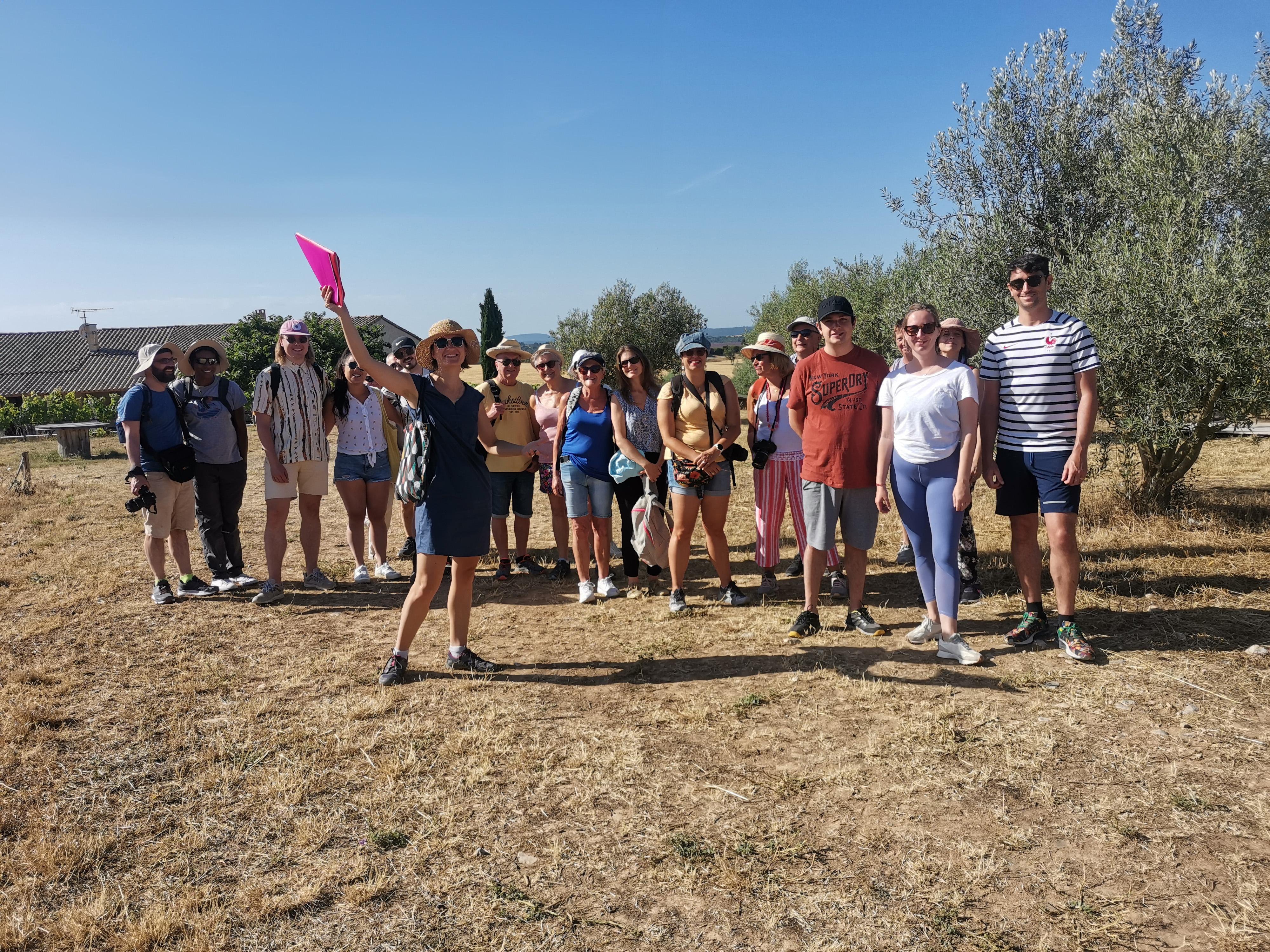Valensole lavender fields in Provence — guided lavender tour photo 5