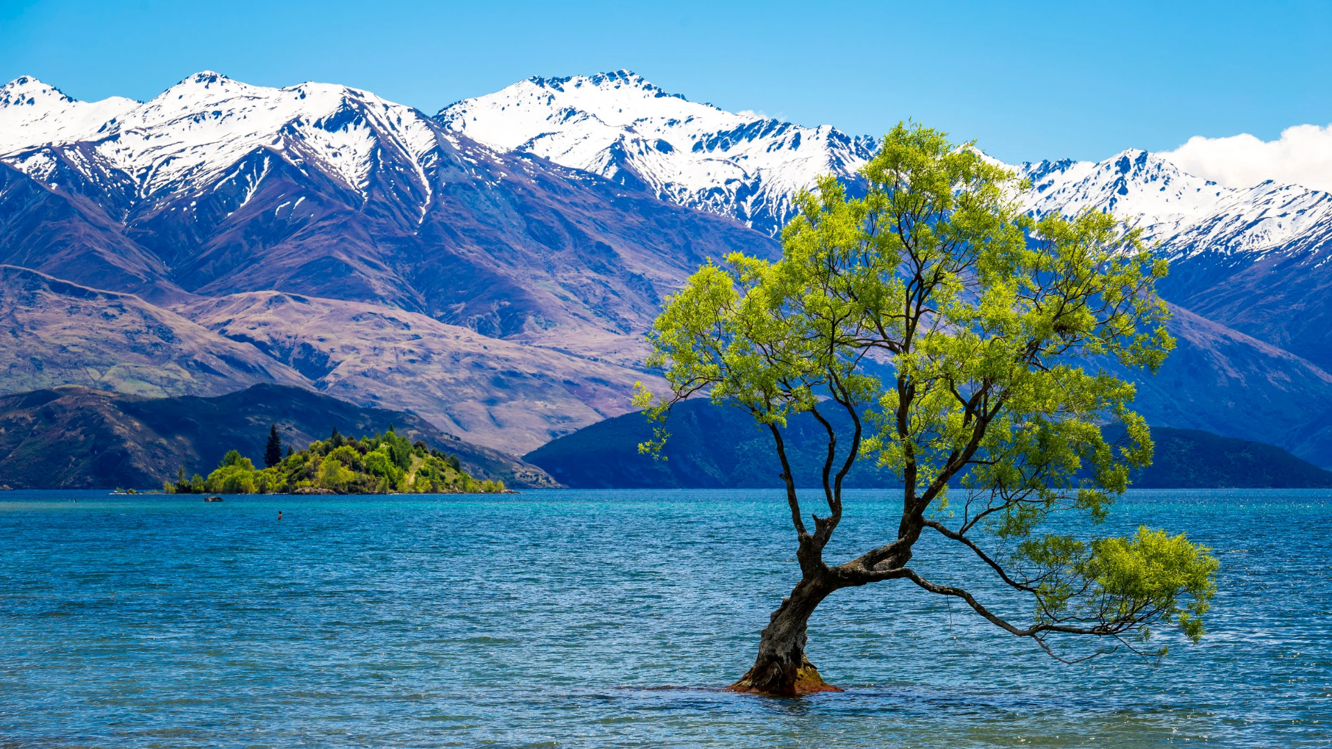 Private Queenstown to Wanaka Day Tour