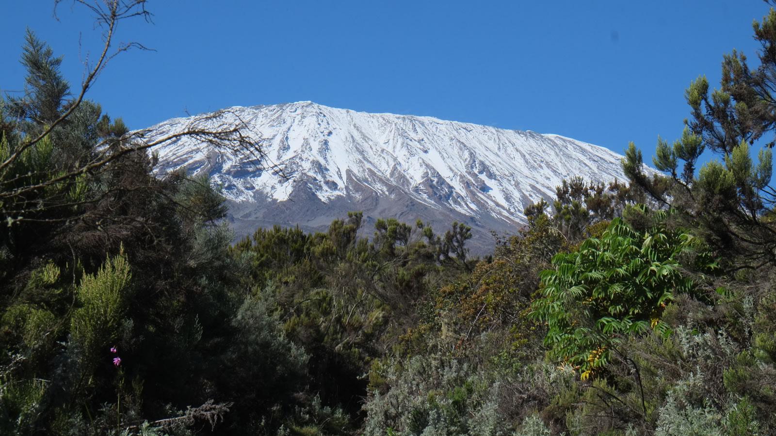 Kilimanjaro Day Hike – Shira Plateau or Marangu Forest