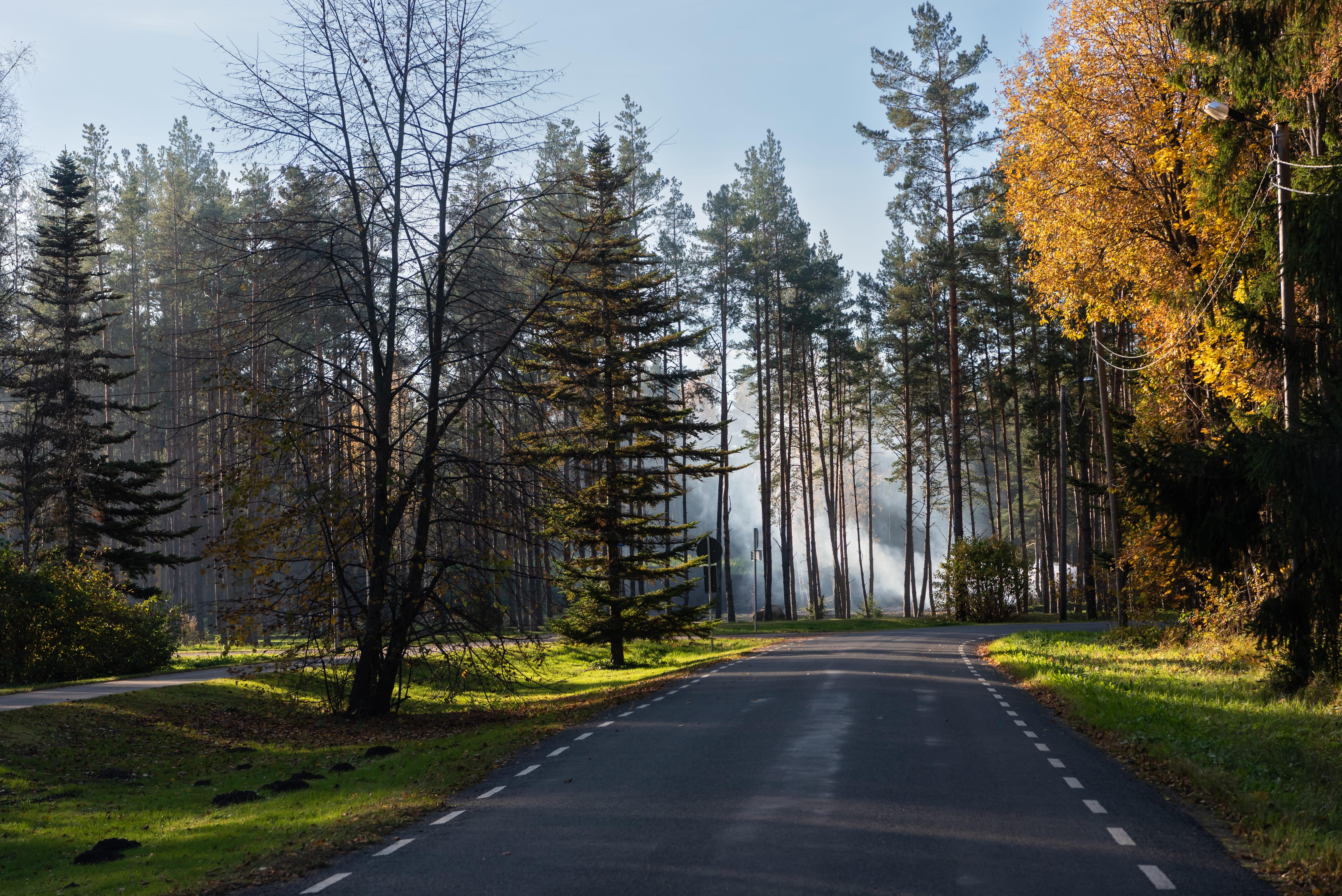 Lahemaa National Park full-day tour from Tallinn — image 17