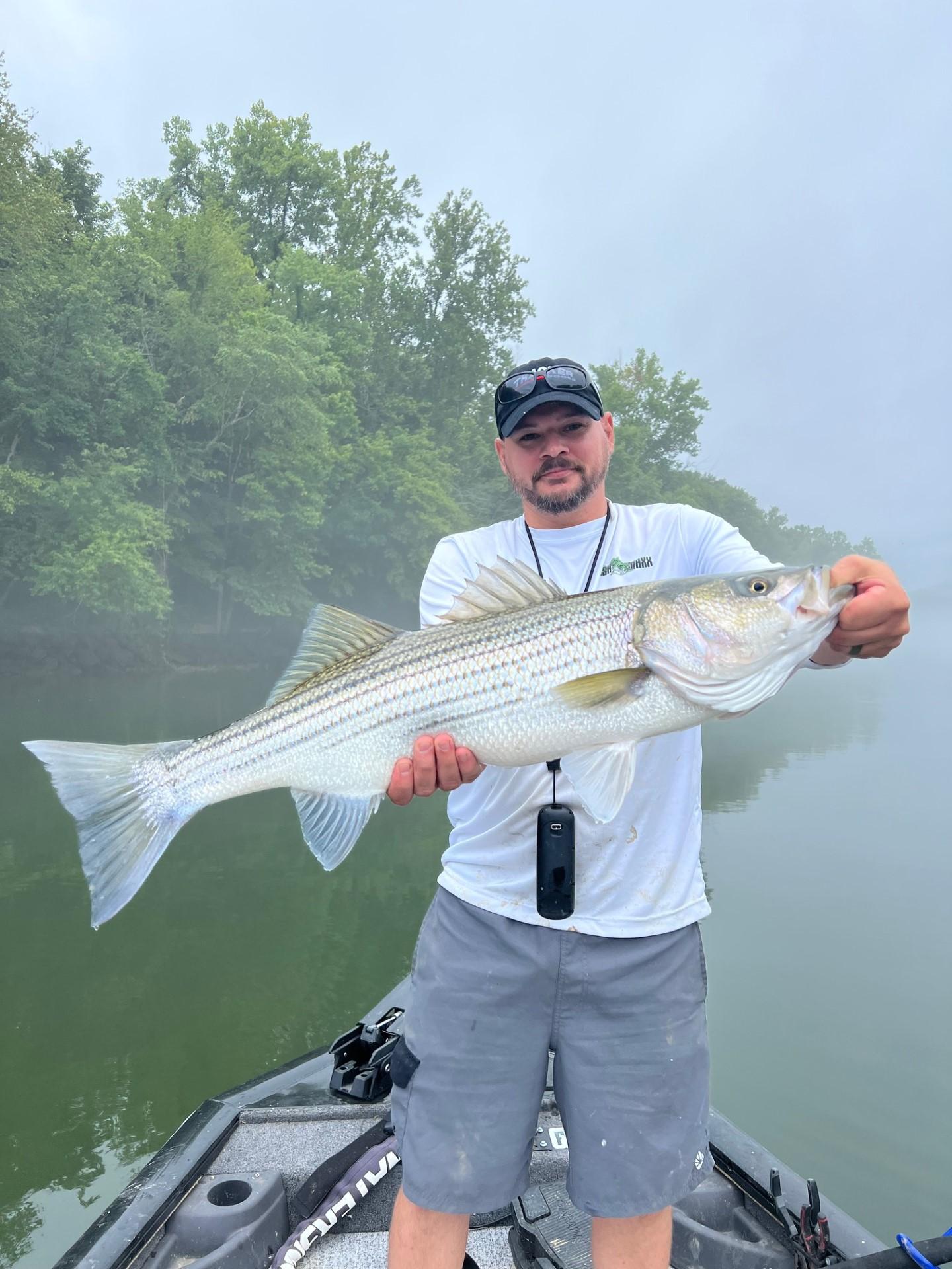 Percy Priest Lake Bass Fishing Adventure