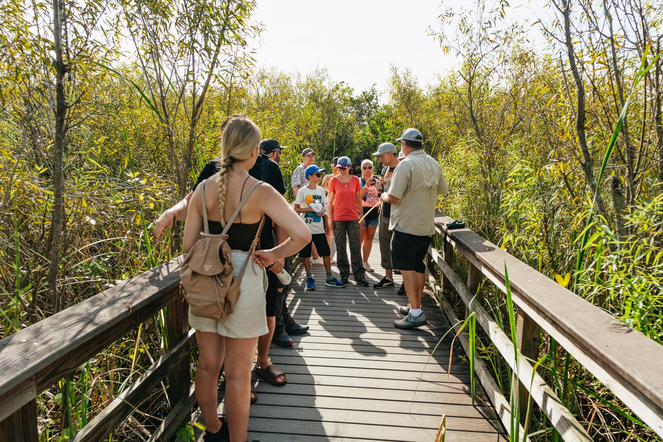 Everglades airboat tour sawgrass marsh alligator wildlife near Miami Florida — image 6