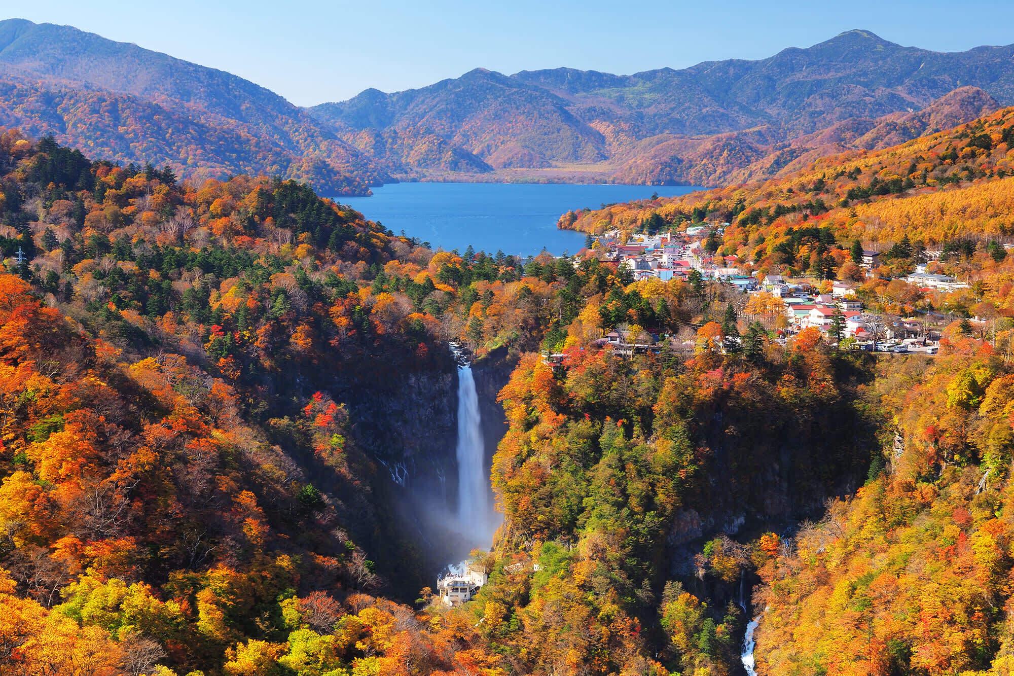 Nikko Private Day Tour from Tokyo with English-Speaking Driver