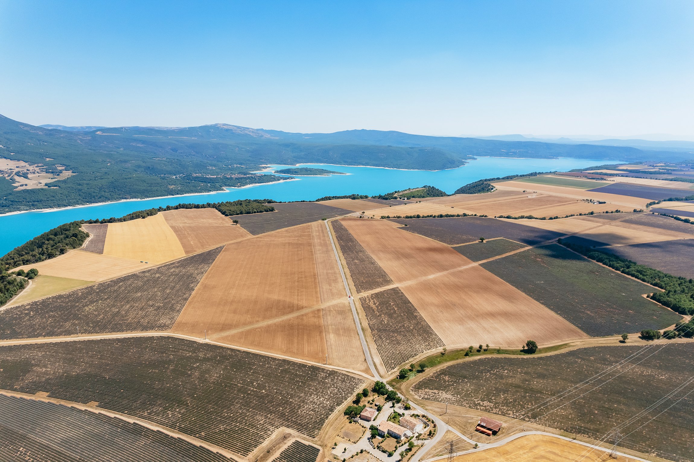 Valensole lavender fields in Provence — guided lavender tour photo 19