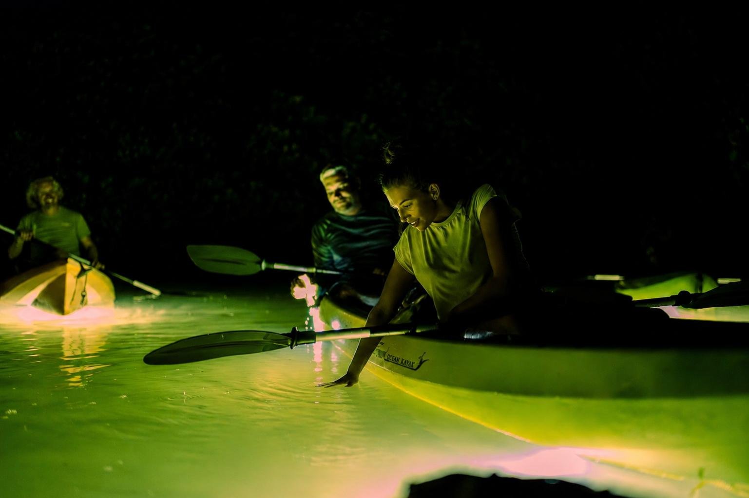 Twilight Mangrove Kayaking Adventure in Lac Bay