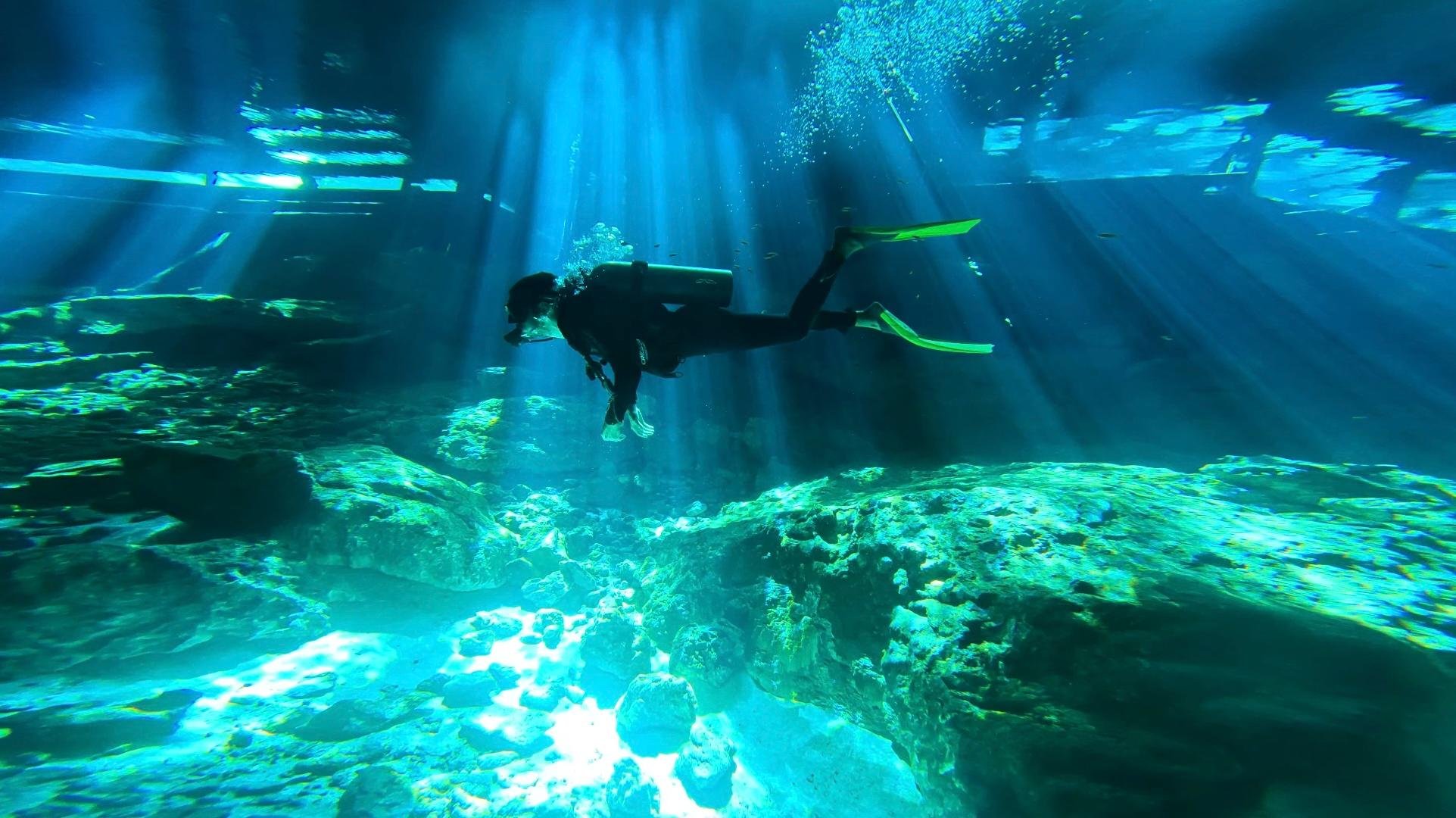 Dos Ojos Cenote Double Dive with Optional Transfer