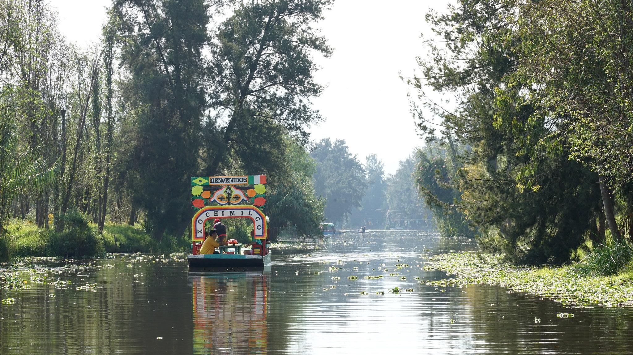 Mexico City Cultural Full-Day Tour: Xochimilco, UNAM & Coyoacán
