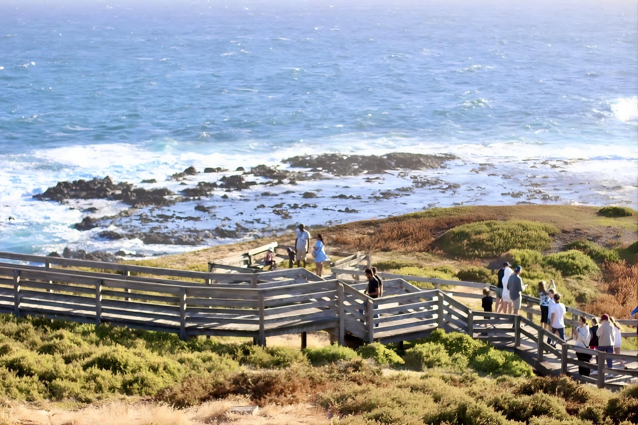 Phillip Island Penguin Parade & Wildlife Day Tour from Melbourne