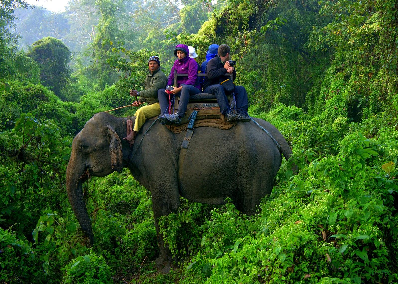 3-Day All-Inclusive Chitwan National Park Safari