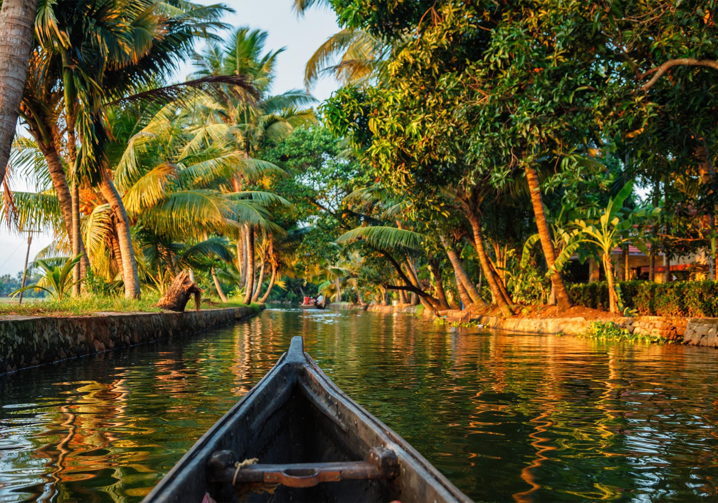 5-Day Kerala Escape: Munnar, Thekkady, and Alleppey Backwaters
