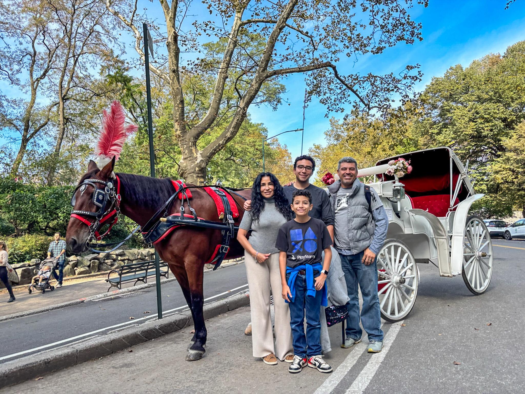 Central Park horse carriage ride — image 8