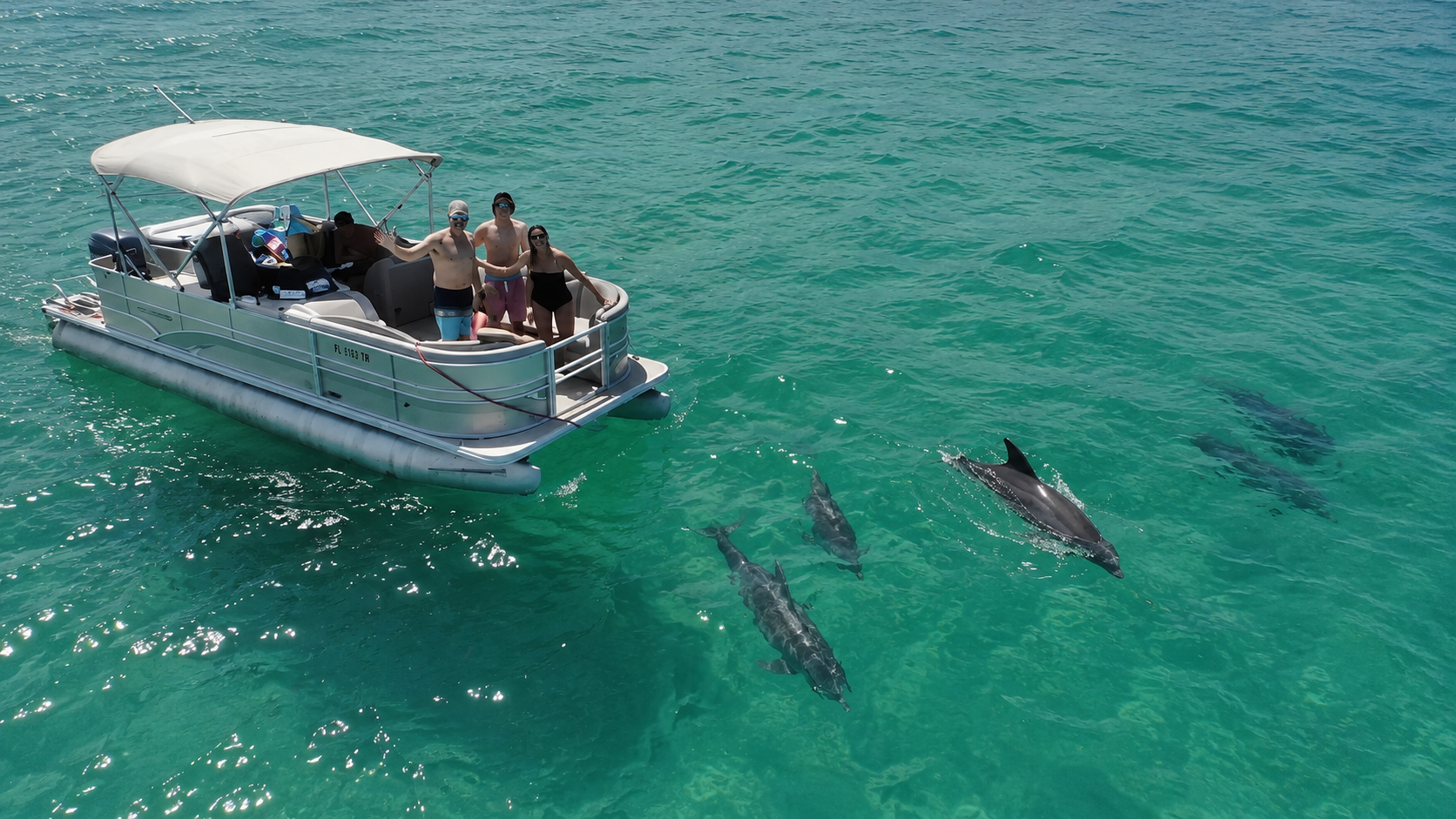 Dolphin & Manatee Eco Boat Tour in Cocoa Beach