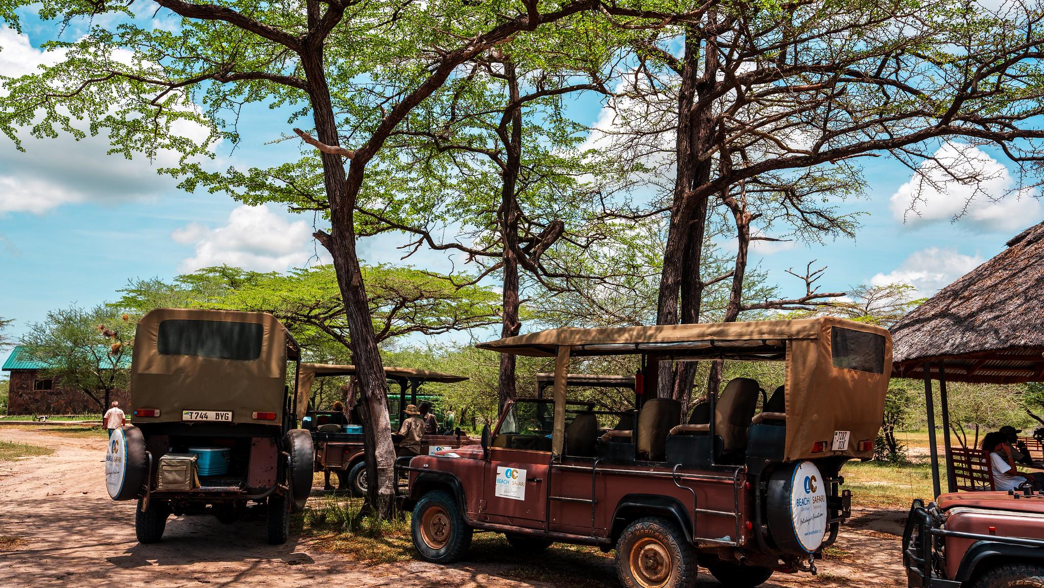 Zanzibar to Selous: Full-Day Safari with Bush Lunch (+ 2-Day Option)