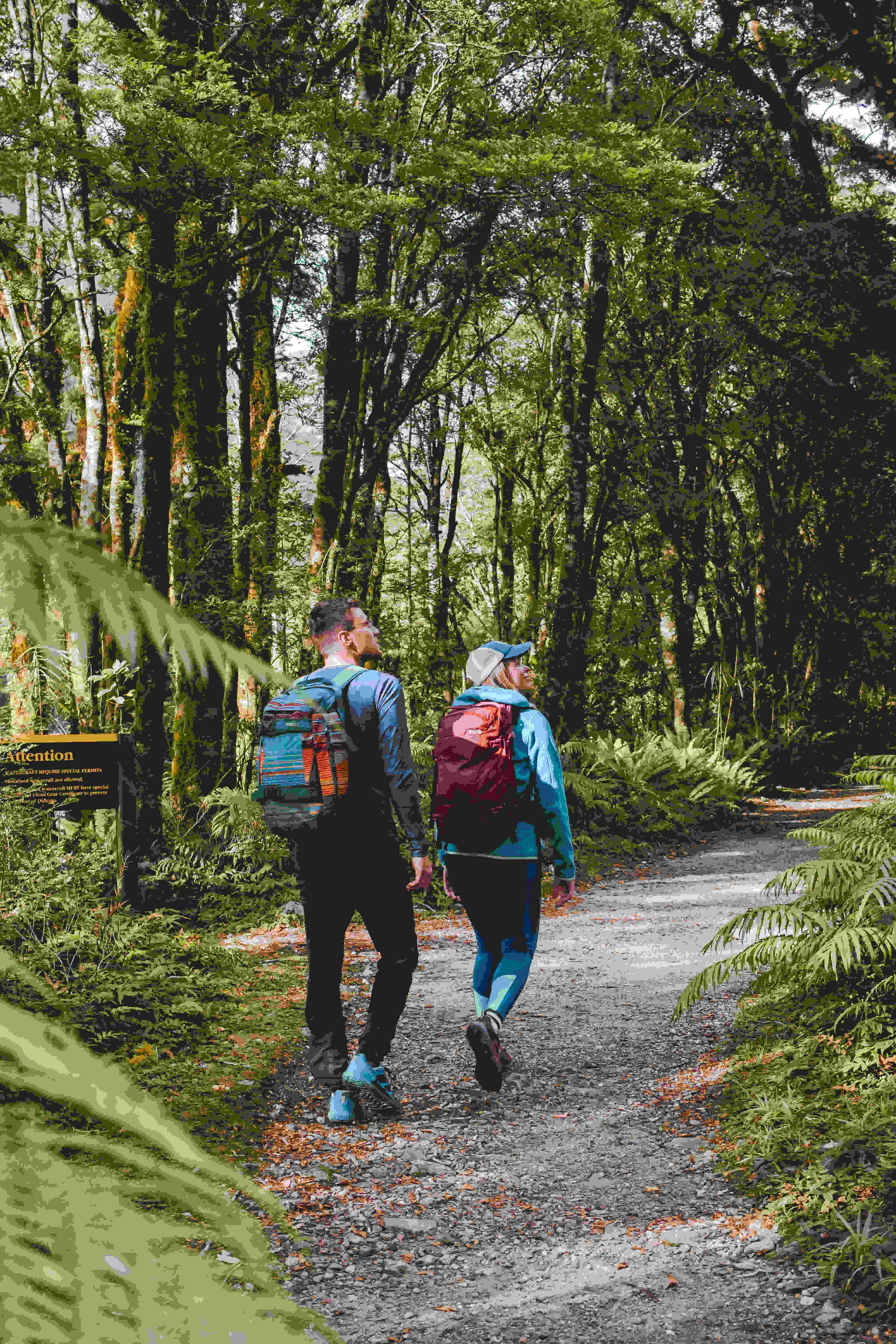 Milford Sound: Nature Cruise & Milford Track Walk