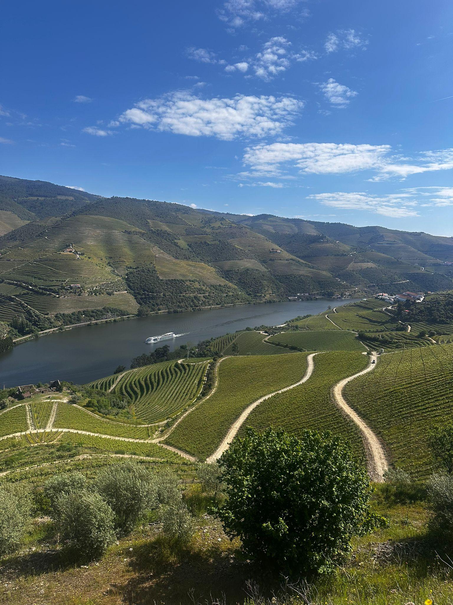 Douro Valley Small-Group Wine & Boat Tour from Porto
