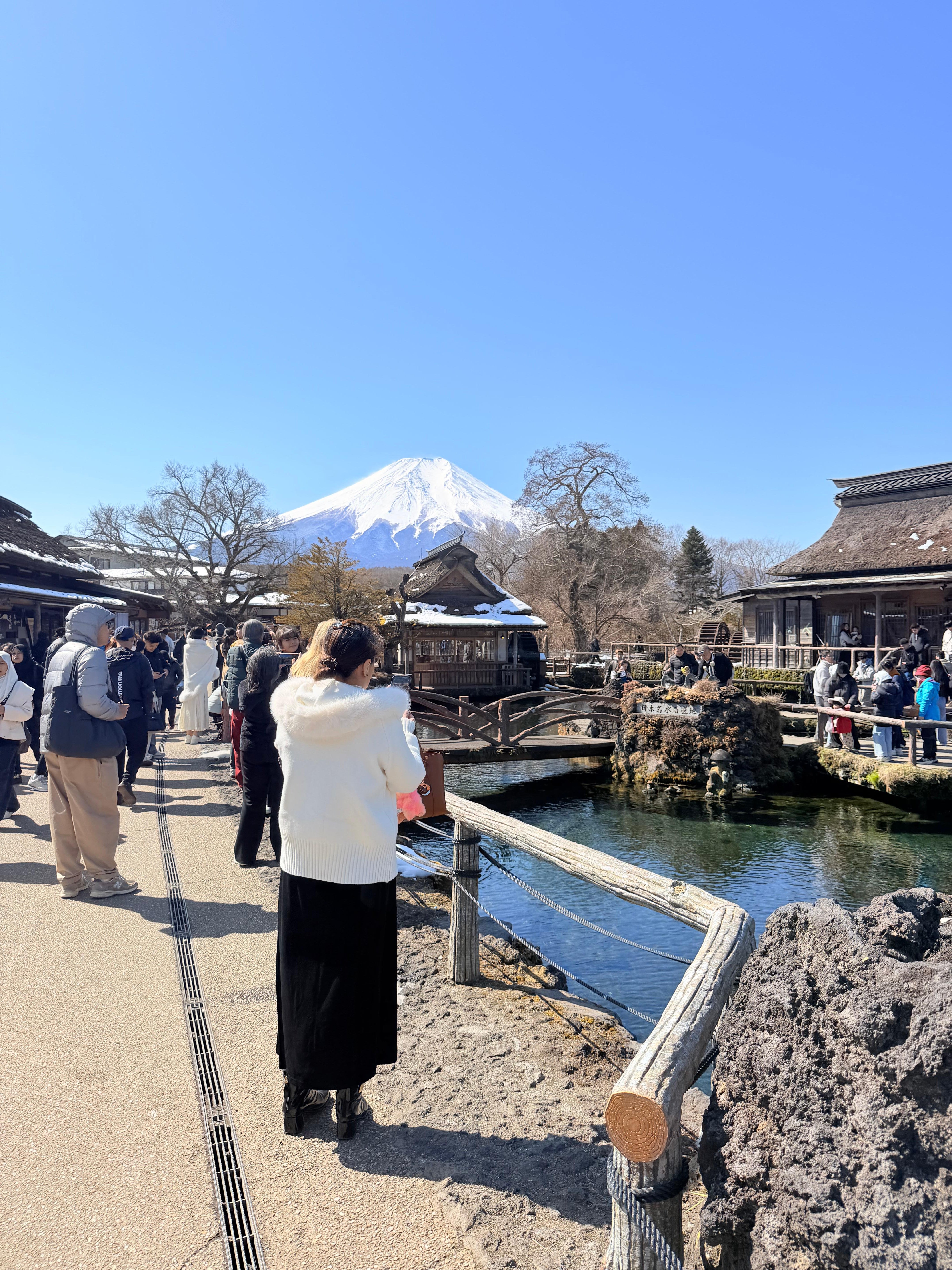 Tokyo to Mt. Fuji & Hakone: Private Full-Day Tour with English Driver