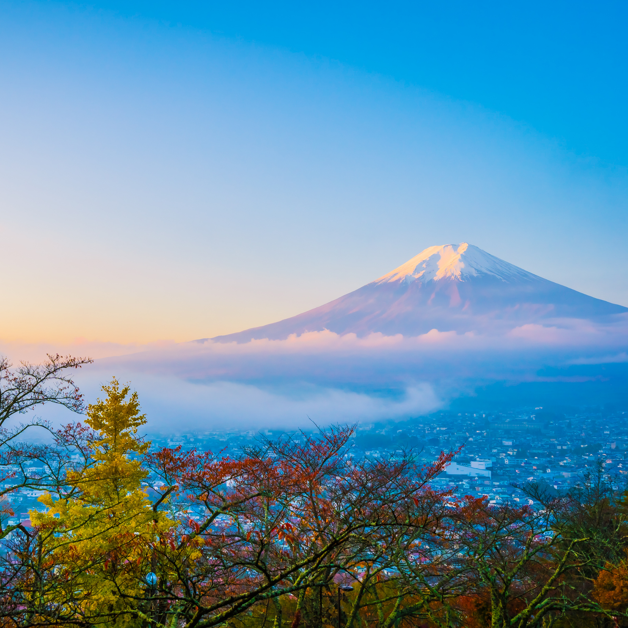 Private Mount Fuji & Hakone Day Tour from Tokyo