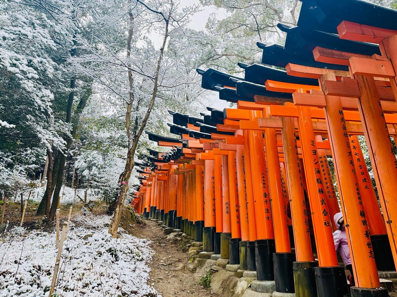Kyoto: Privat heldagstur til høydepunktene med bil og guide