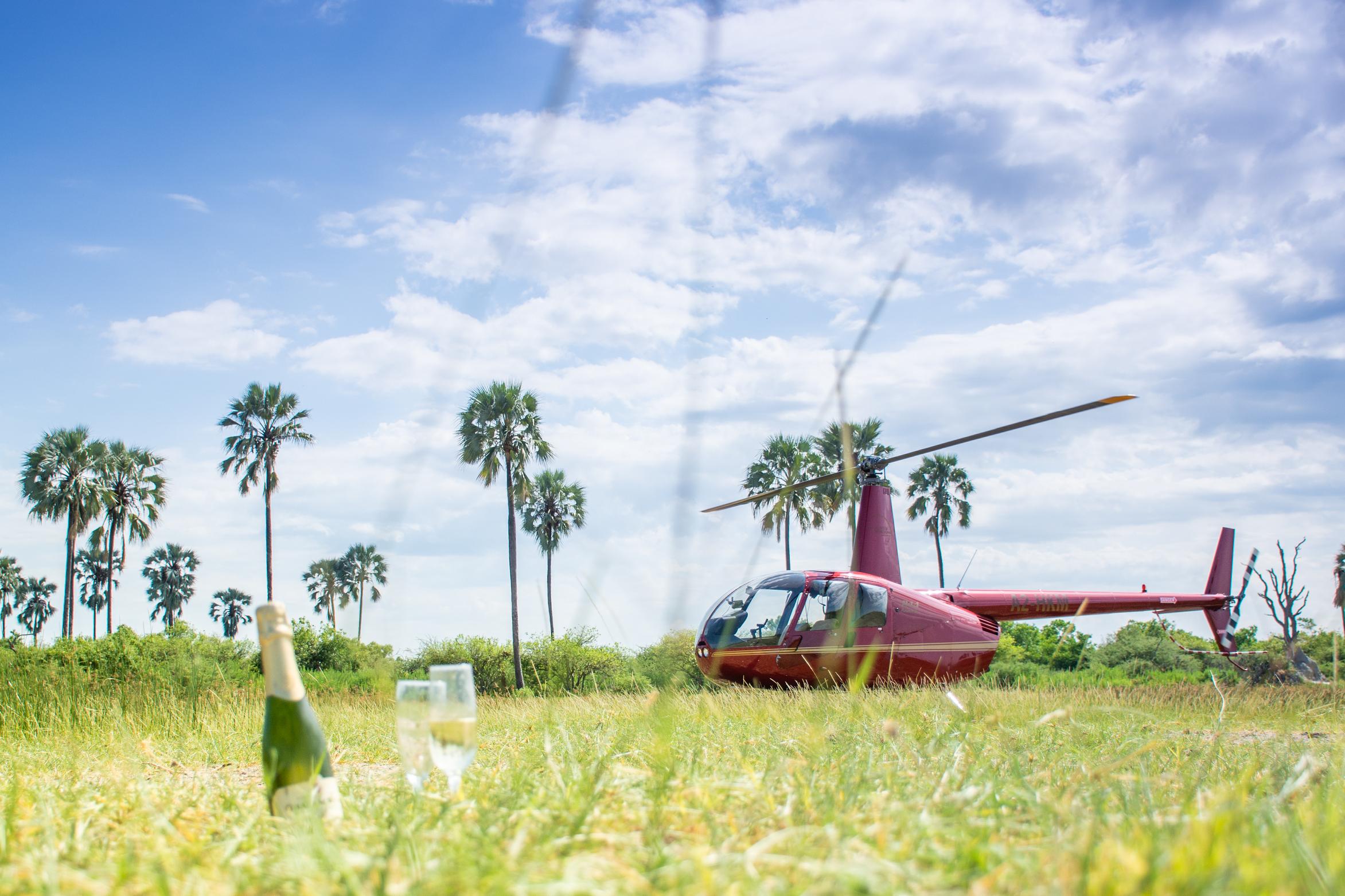 Private Okavango Delta Helicopter Tour
