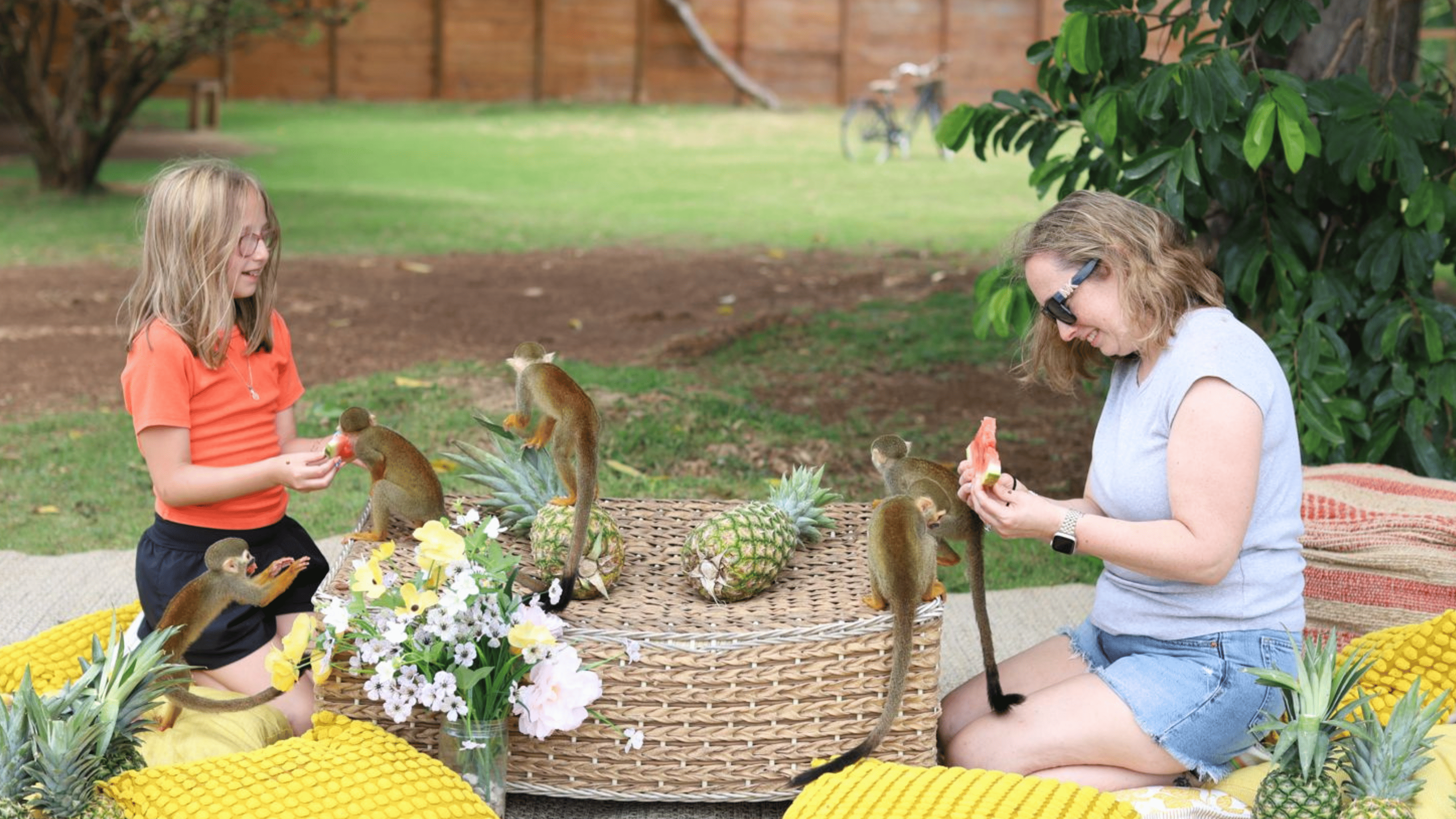 Punta Cana Patron Monkey Sanctuary