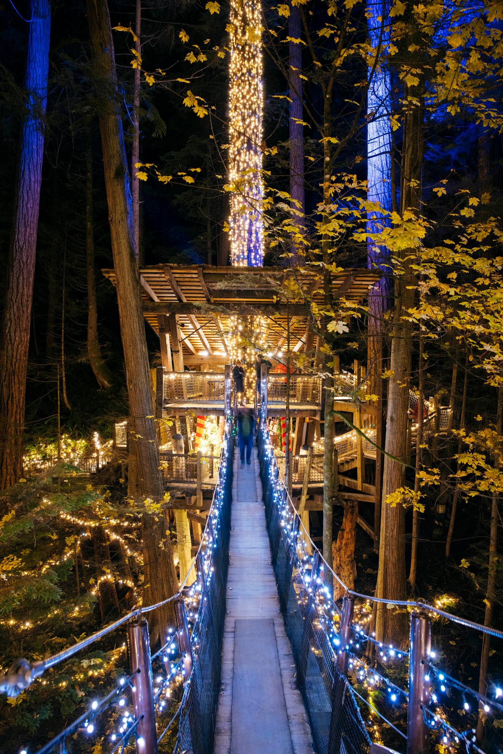 Capilano Suspension Bridge Park Entry