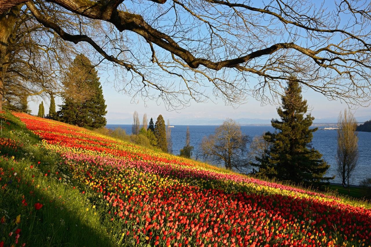 Insel Mainau Garten