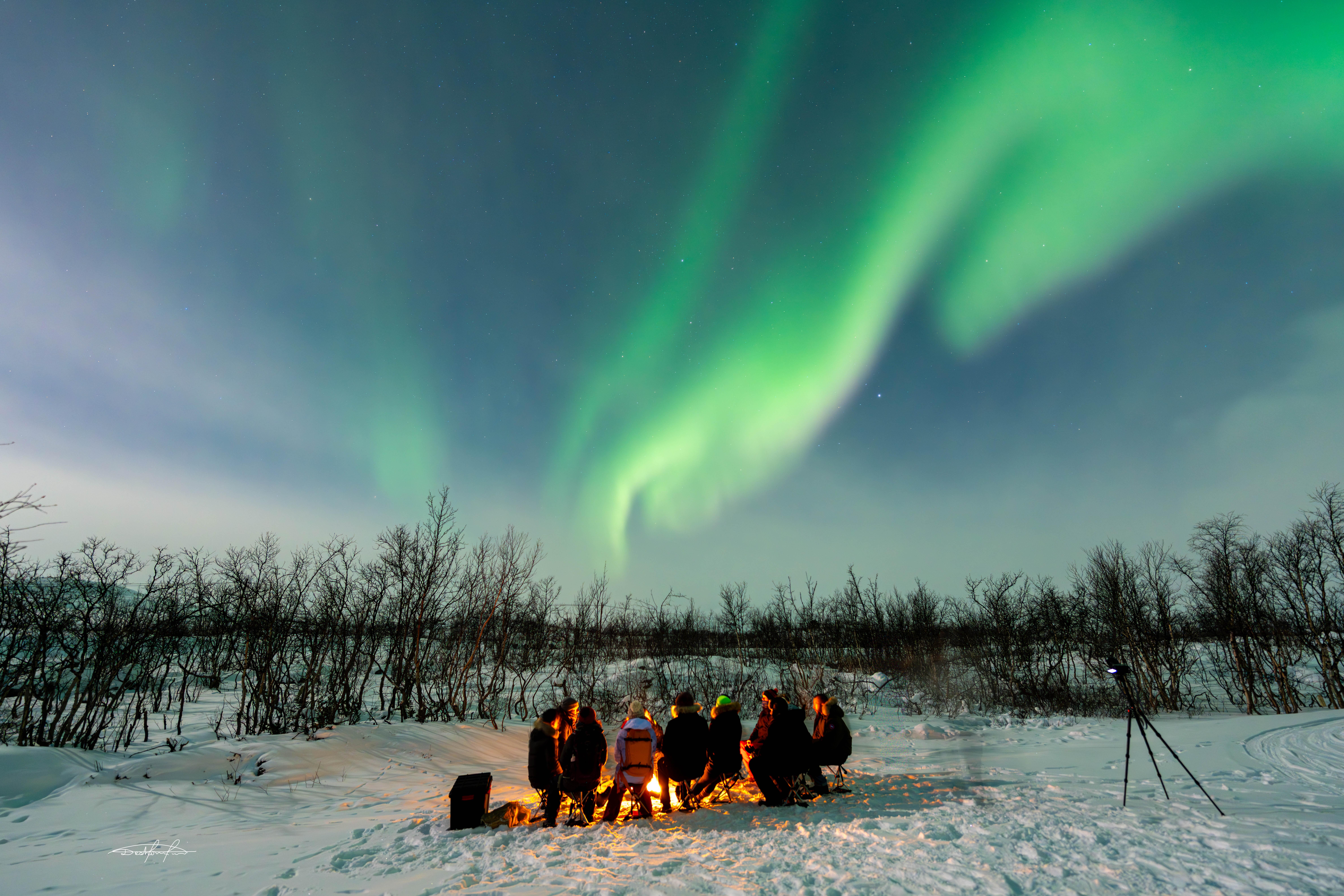 Northern lights tour, image 16