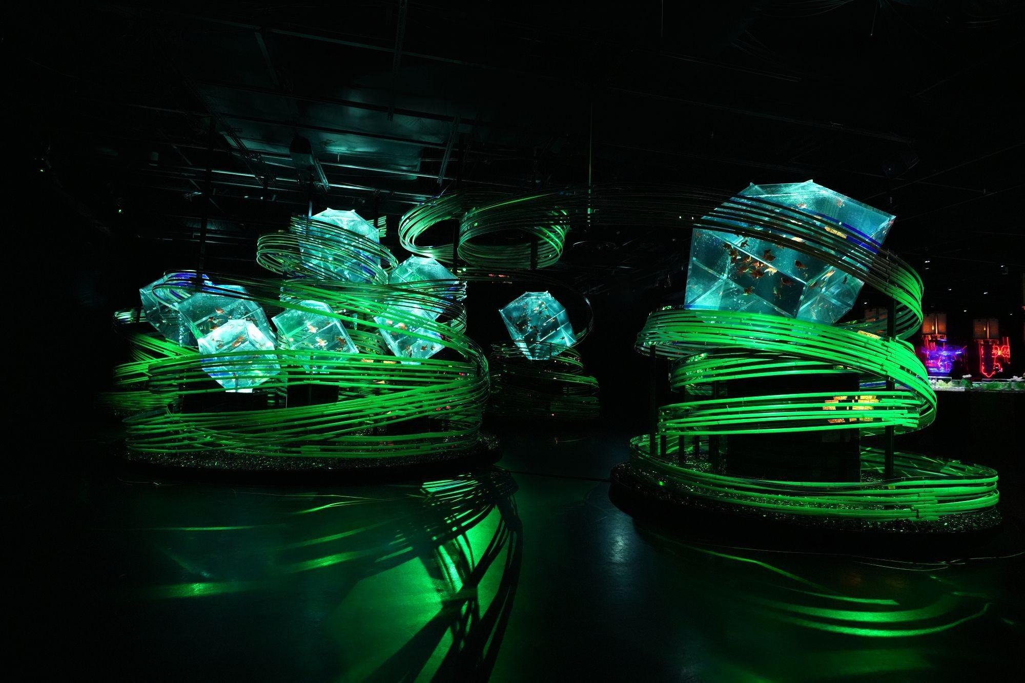 Art Aquarium Museum GINZA Entry Ticket