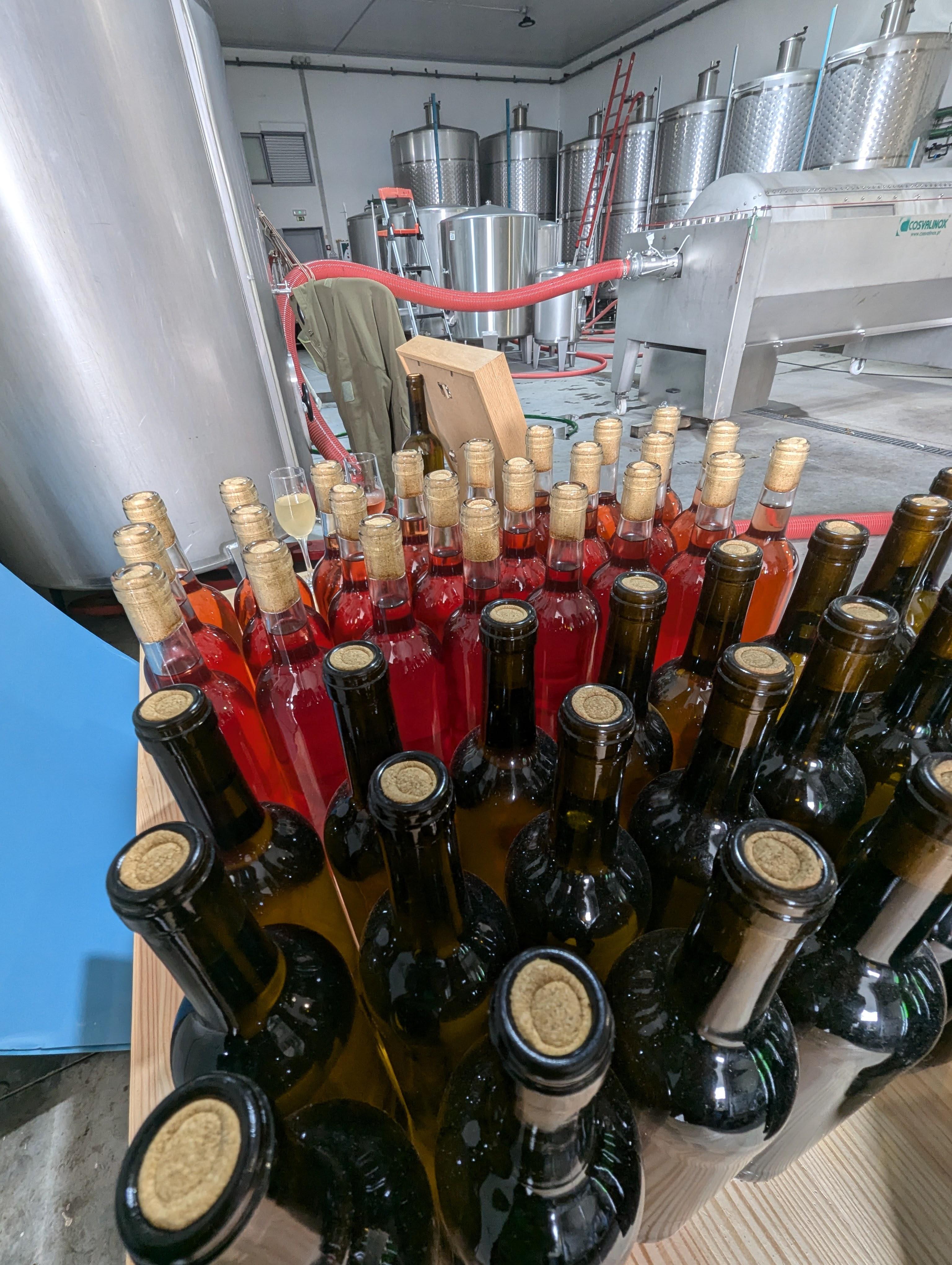 Porto: Douro Valley & Vinho Verde Day Tour with Tastings, Lunch & Boat Cruise