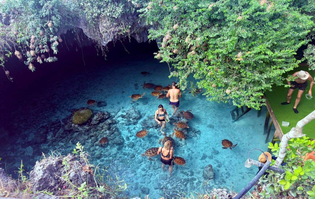 Zanzibar Full-Day Adventure: Caves, Monkeys, Turtles & Paje Beach