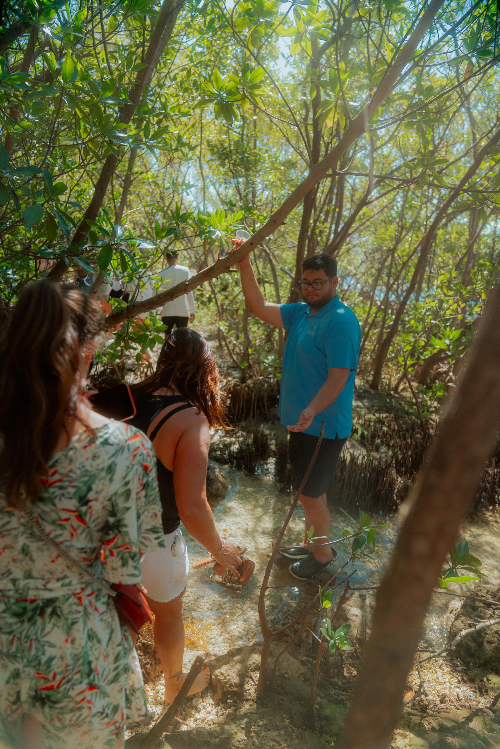 Raccoon Island Miami tour — Biscayne Bay wildlife boat cruise — image 10