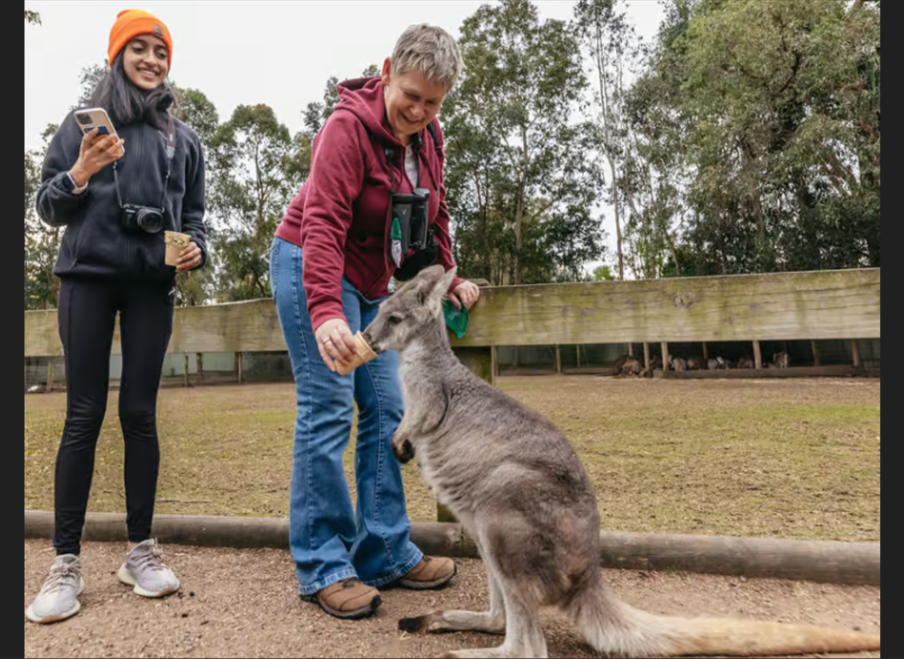 Blue Mountains day trip from Sydney — image 22