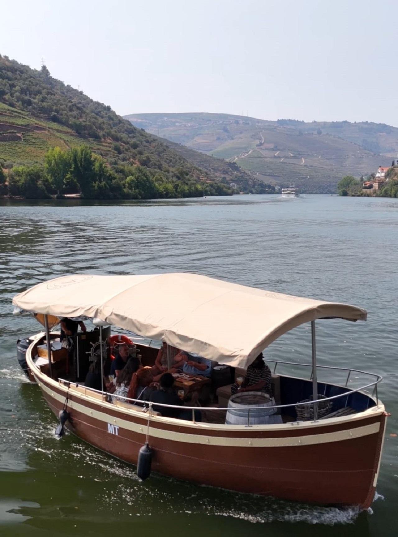 Douro Valley Small-Group Wine & Boat Tour from Porto