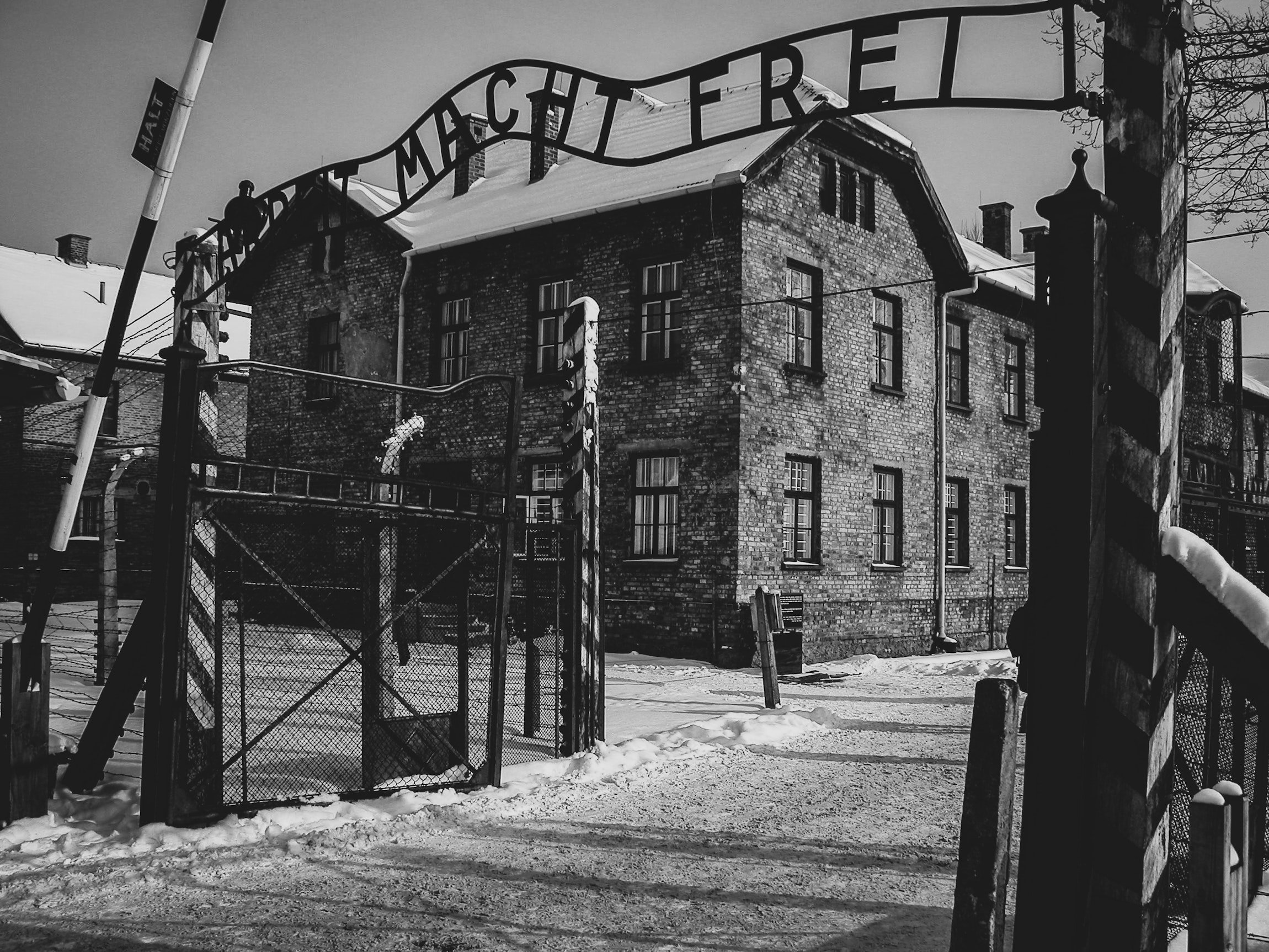 memorial tour in Auschwitz-Birkenau — photo 13