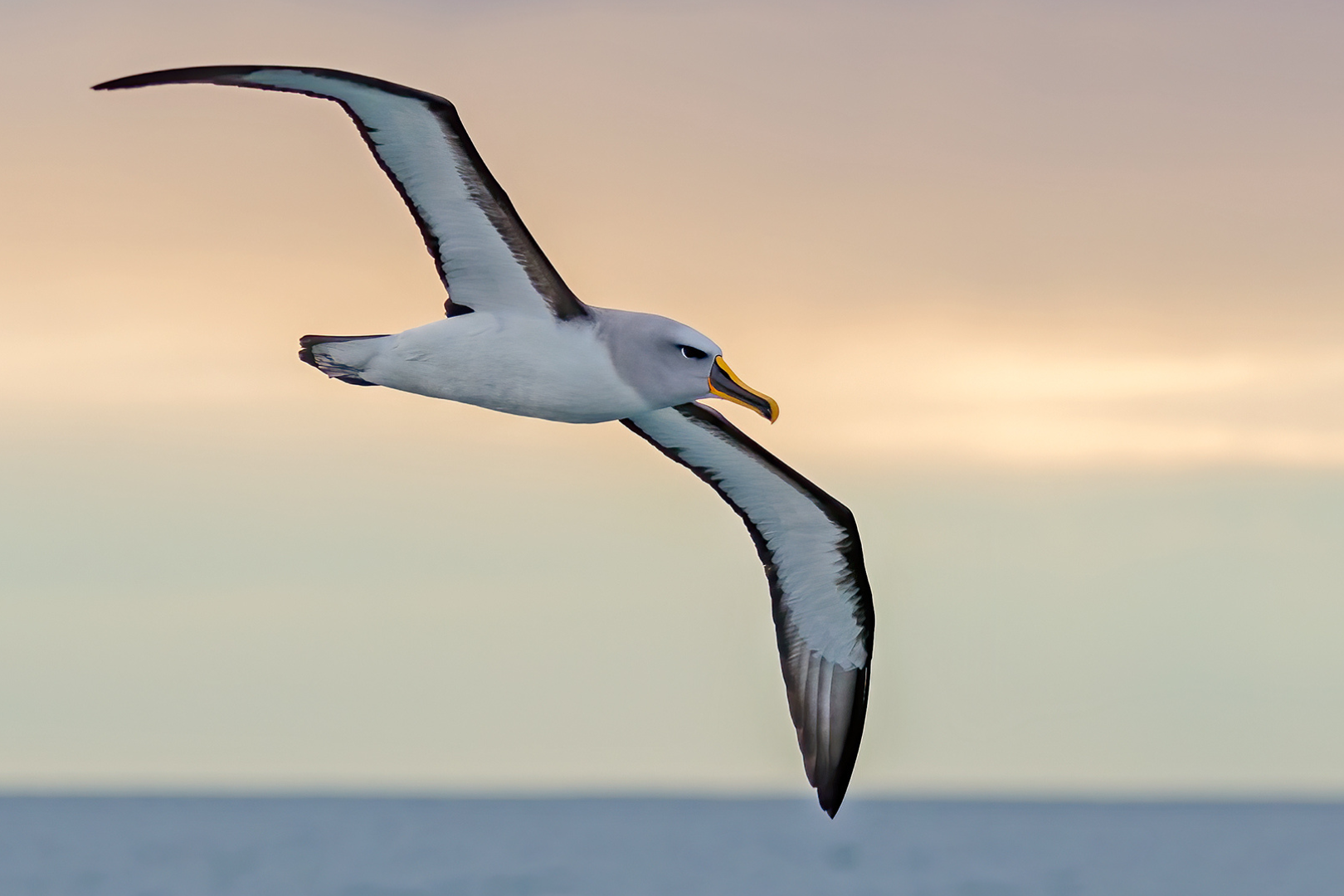 South Island guided tour photo — image 10