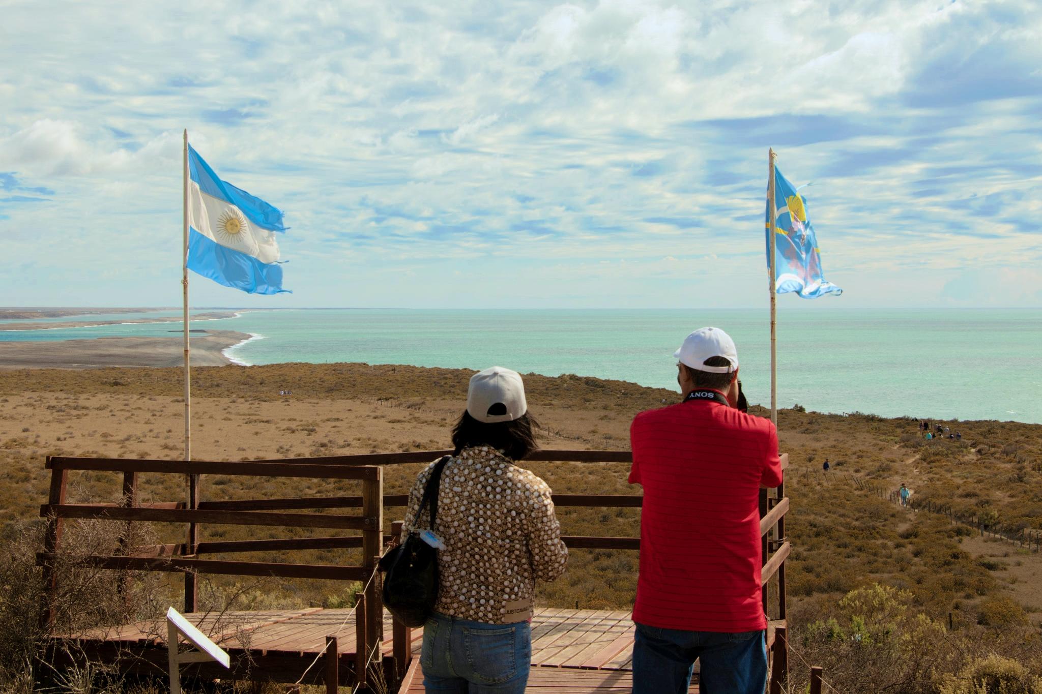 Peninsula Valdés Wildlife Safari & Puerto Madryn City Tour for Cruise Guests