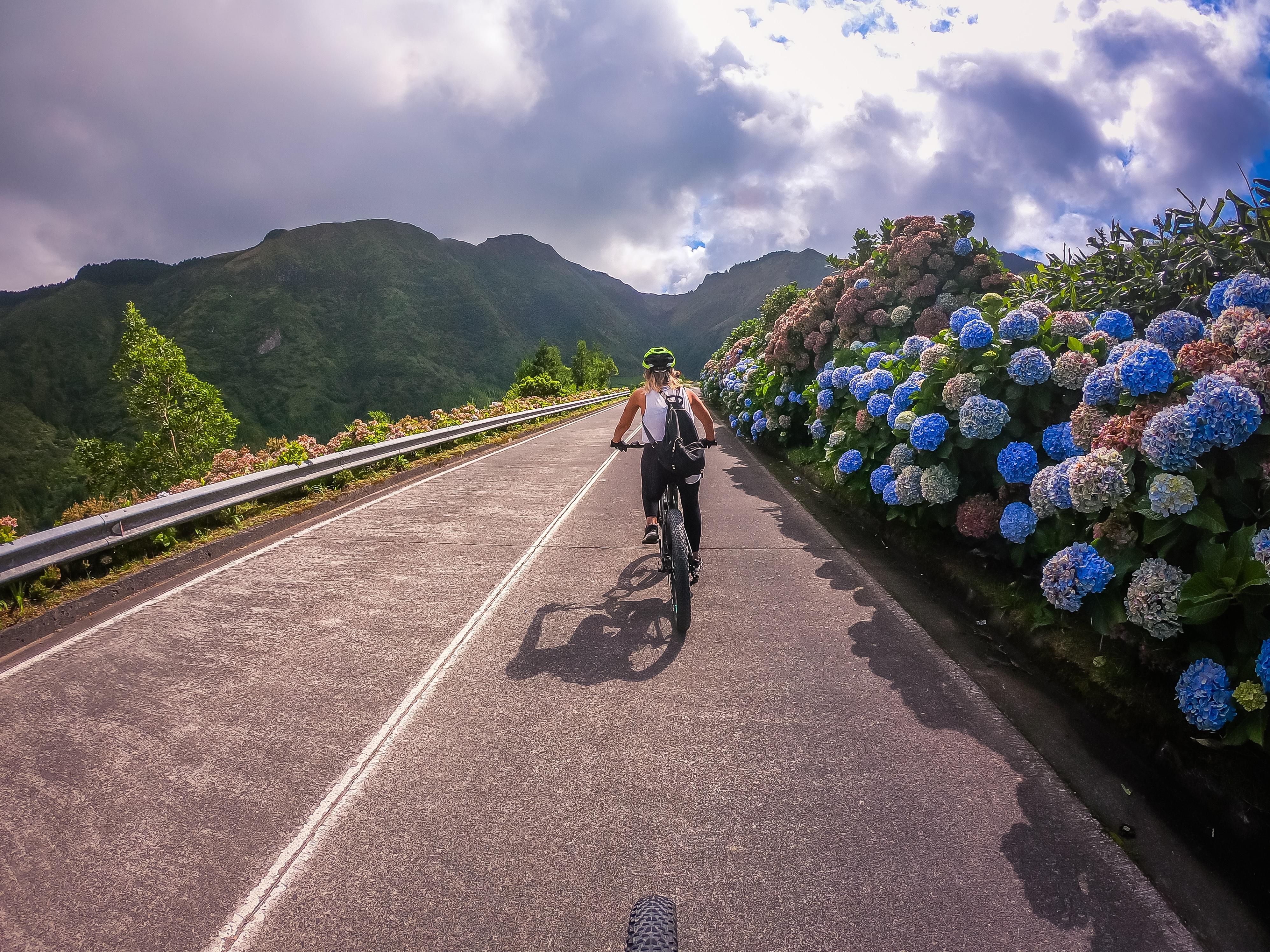 Cyclist climbing a hydrangea-lined road on a guided Sete Cidades bike tour