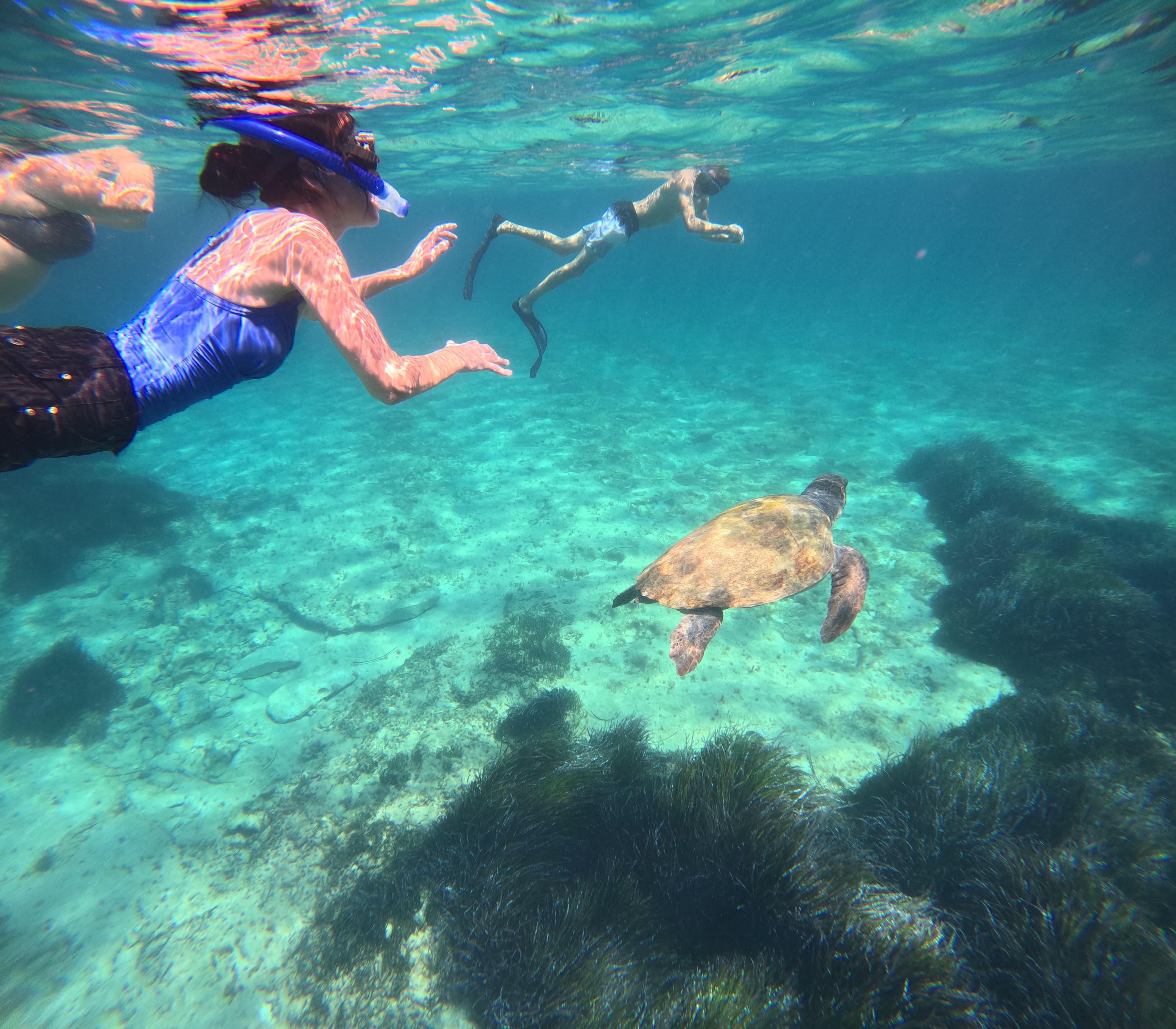 Paphos Sea Turtle Snorkeling Adventure with GoPro Recording