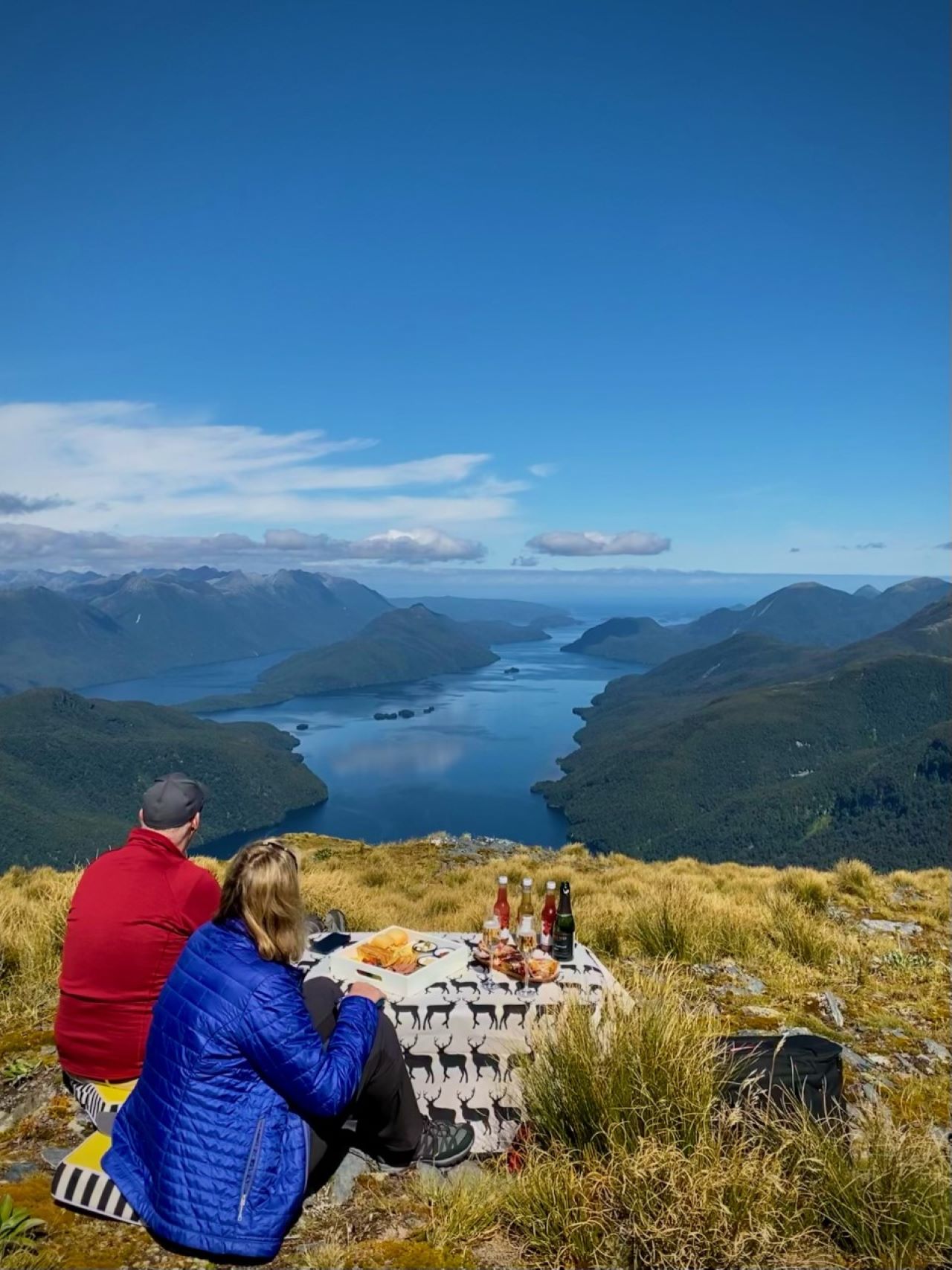 Fiordland Three Sounds Helicopter Adventure